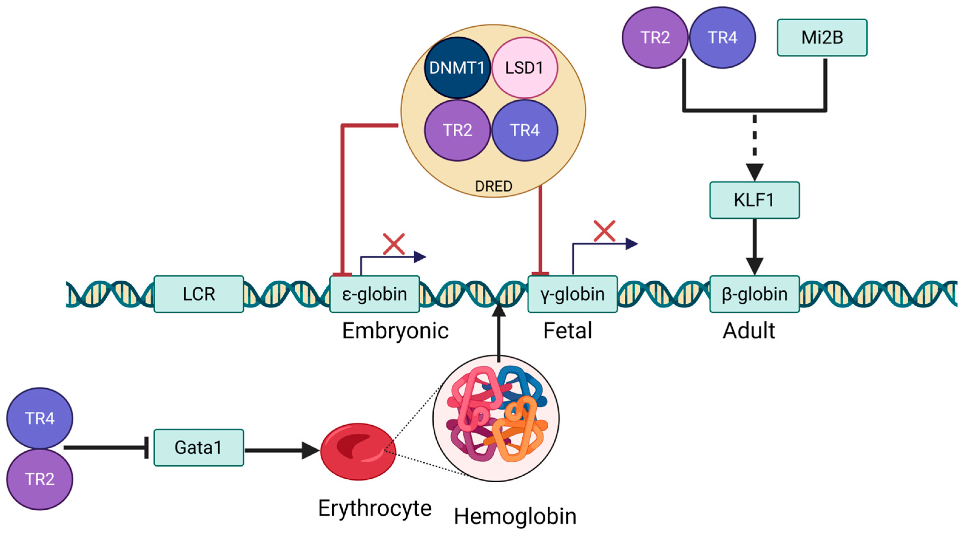 Biomolecules 15 00798 g003 Biomolecules 15 00798 g003