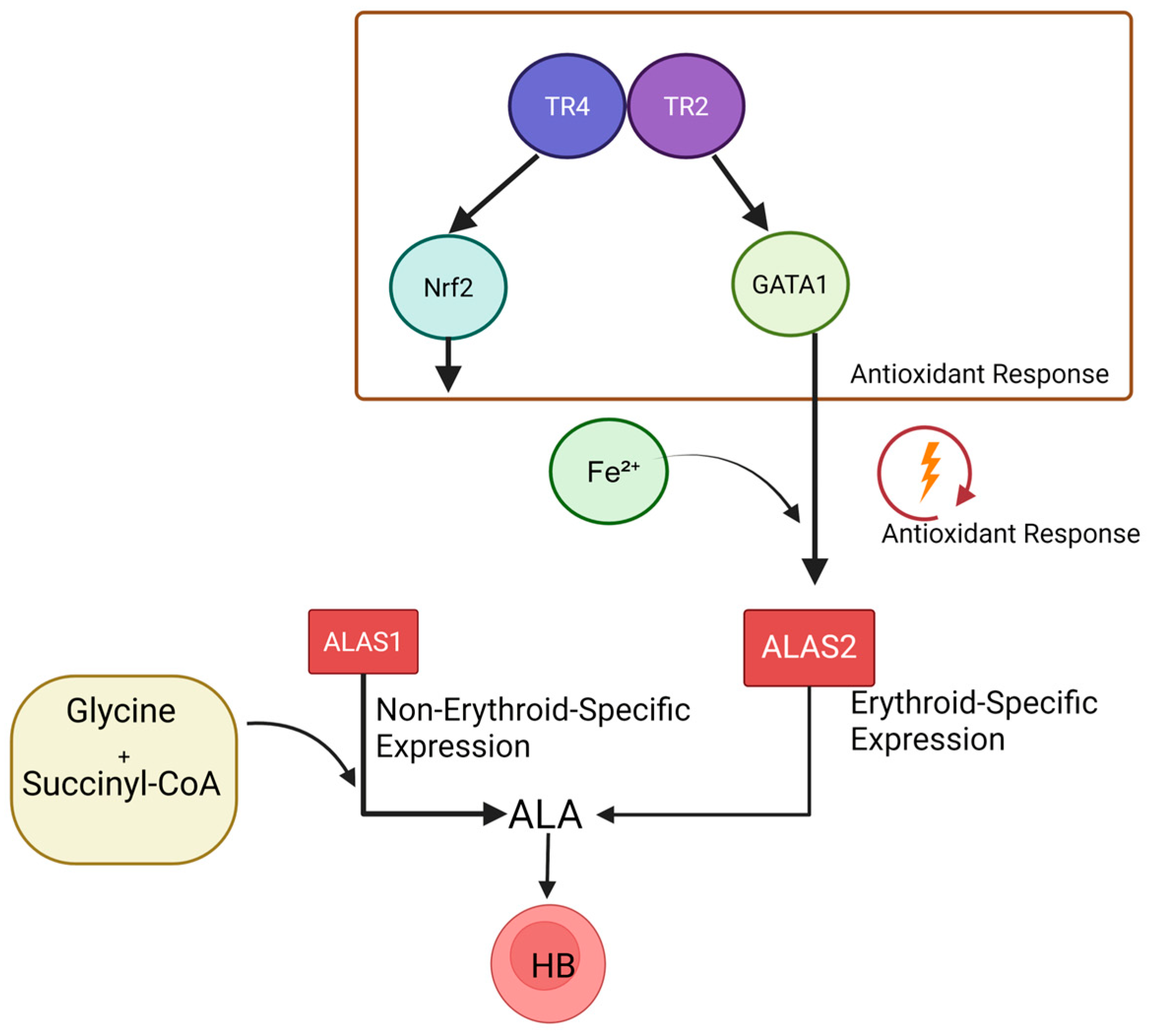 Biomolecules 15 00798 g004 Biomolecules 15 00798 g004