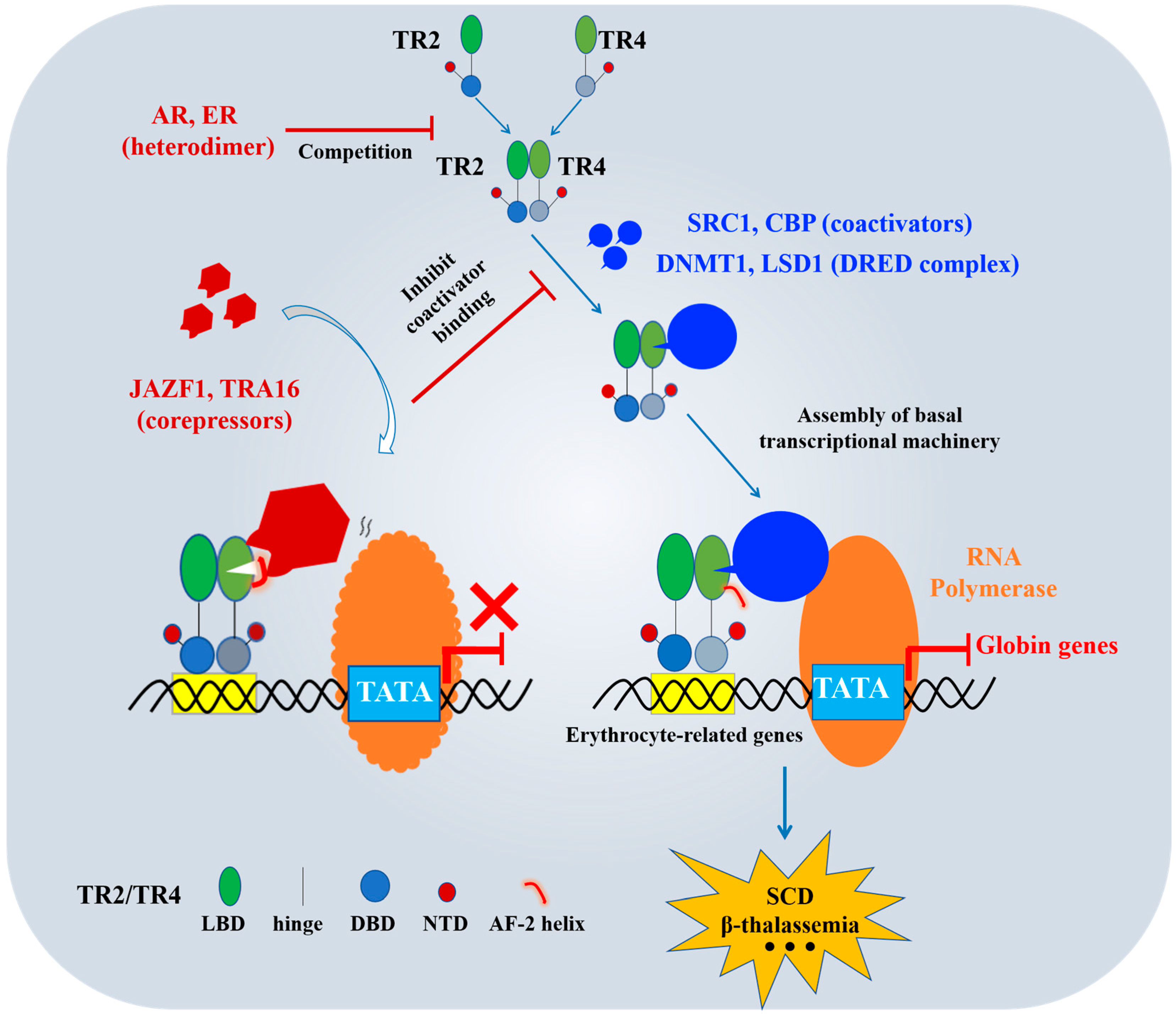 Biomolecules 15 00798 g005 Biomolecules 15 00798 g005