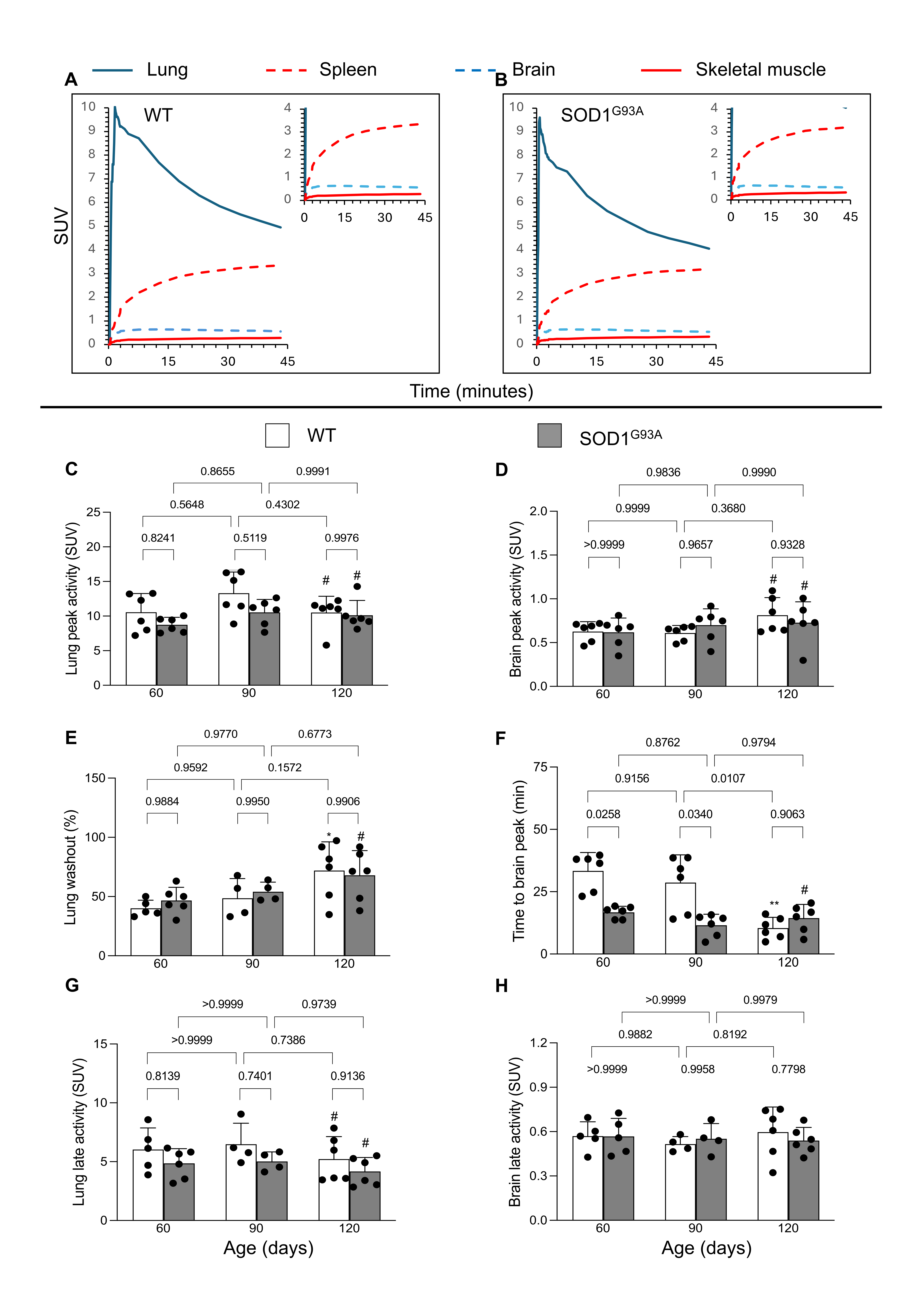 Biomolecules 15 00799 g001