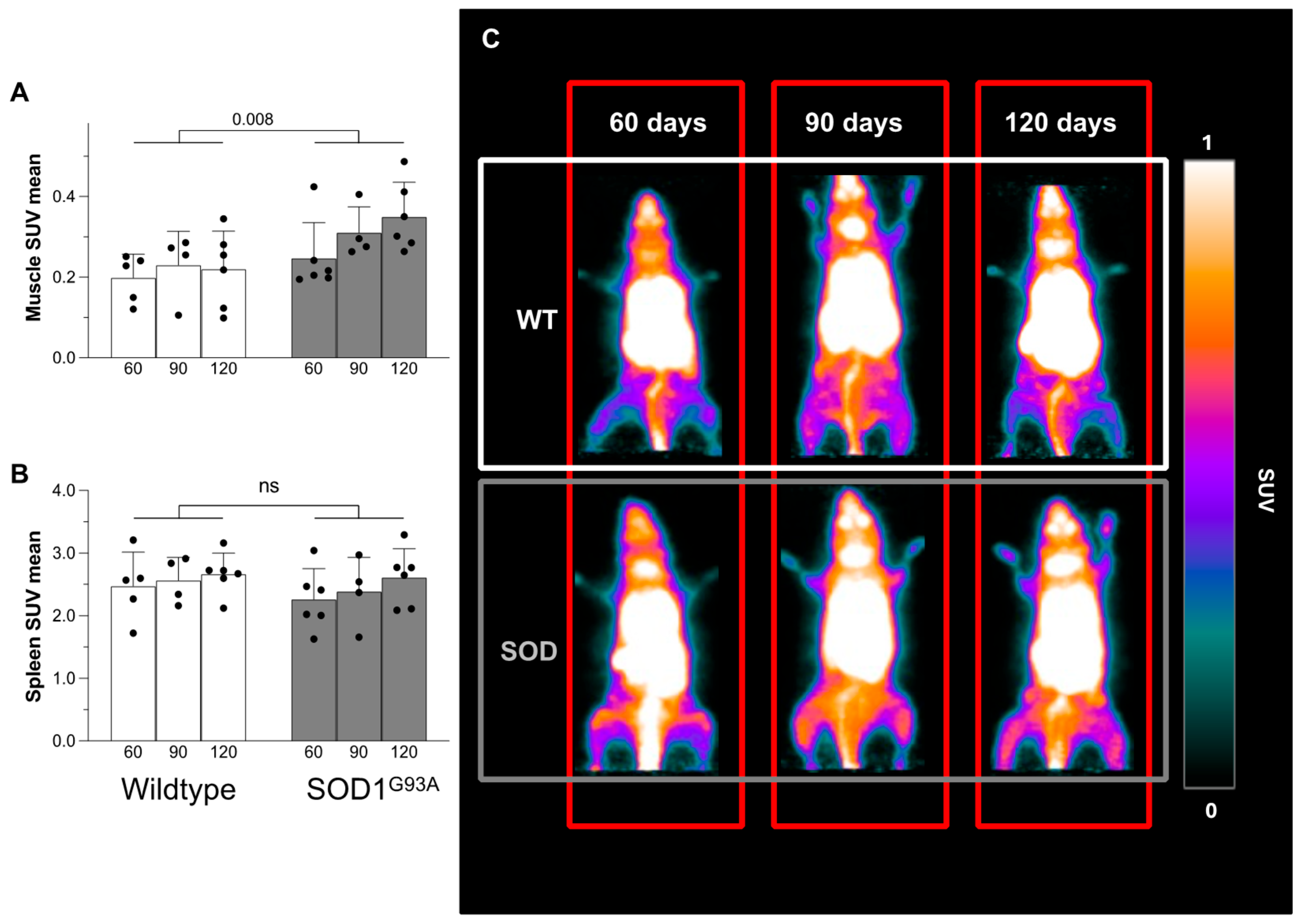 Biomolecules 15 00799 g002