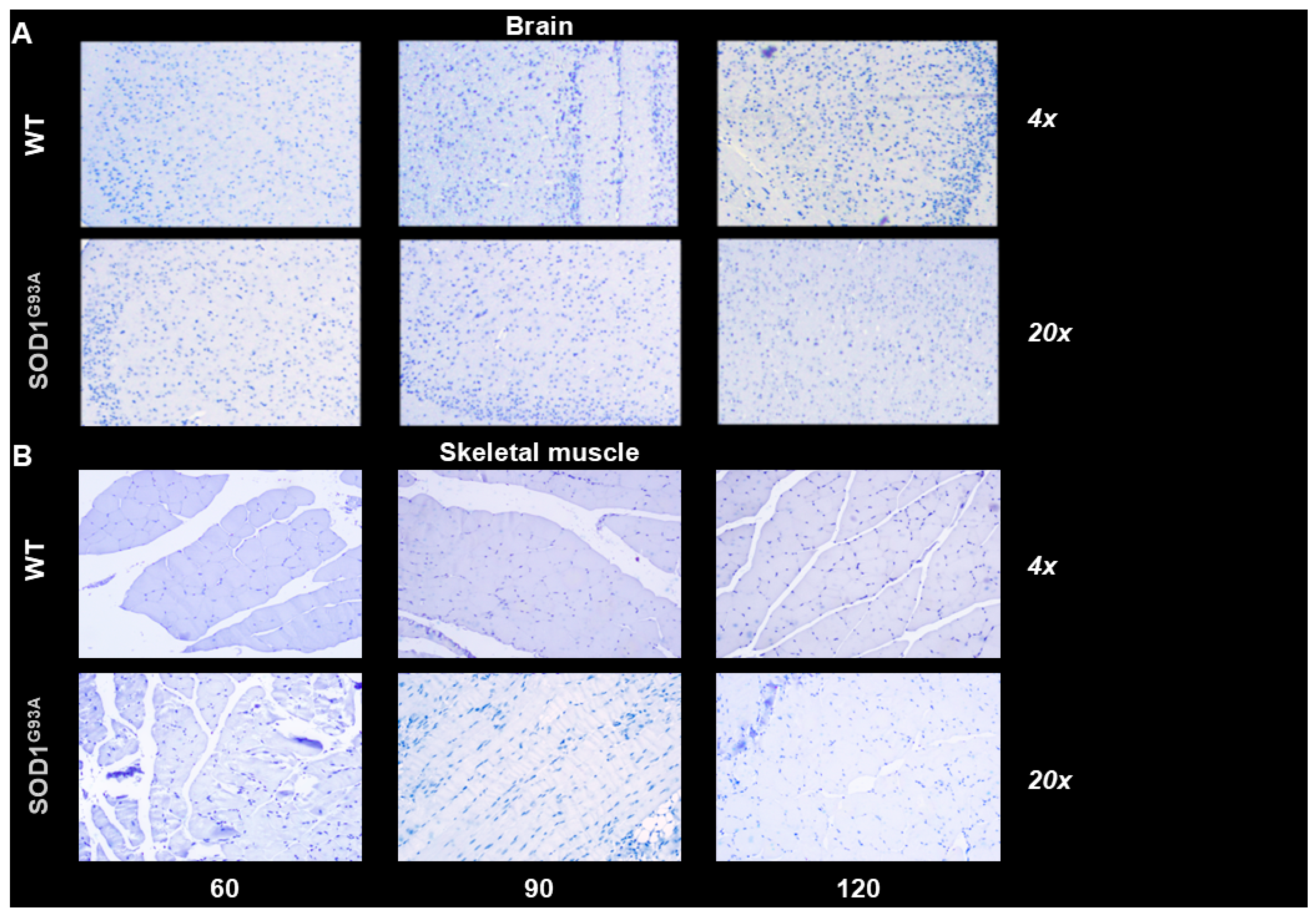 Biomolecules 15 00799 g006