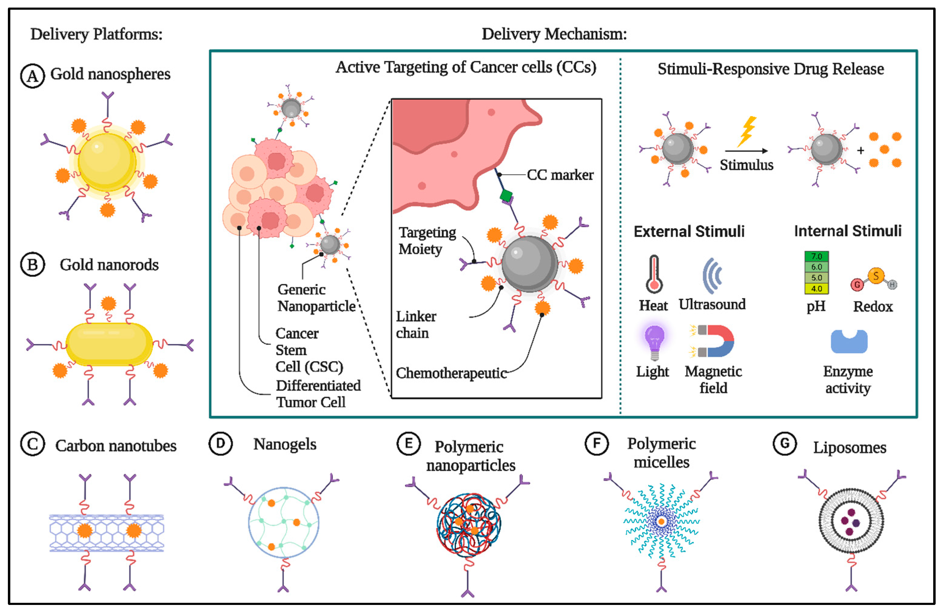 Biomolecules 15 00802 g002