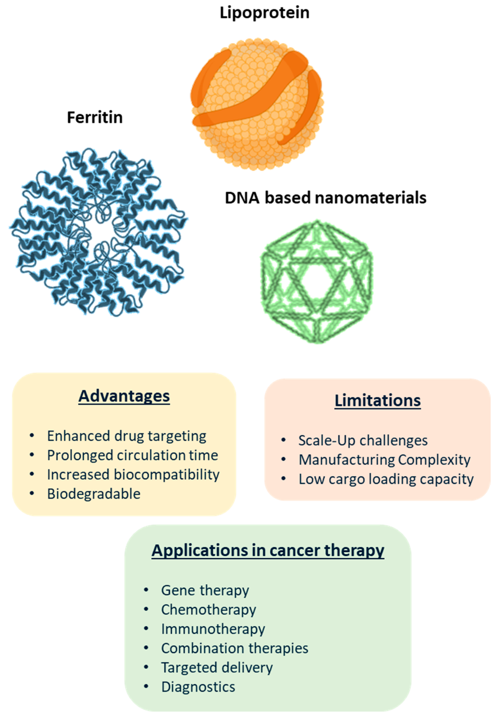Biomolecules 15 00802 g004