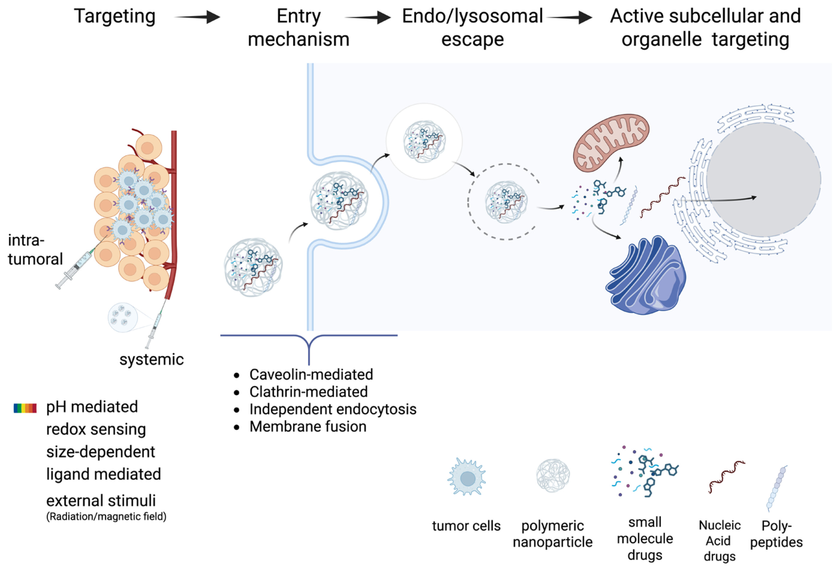 Biomolecules 15 00802 g005