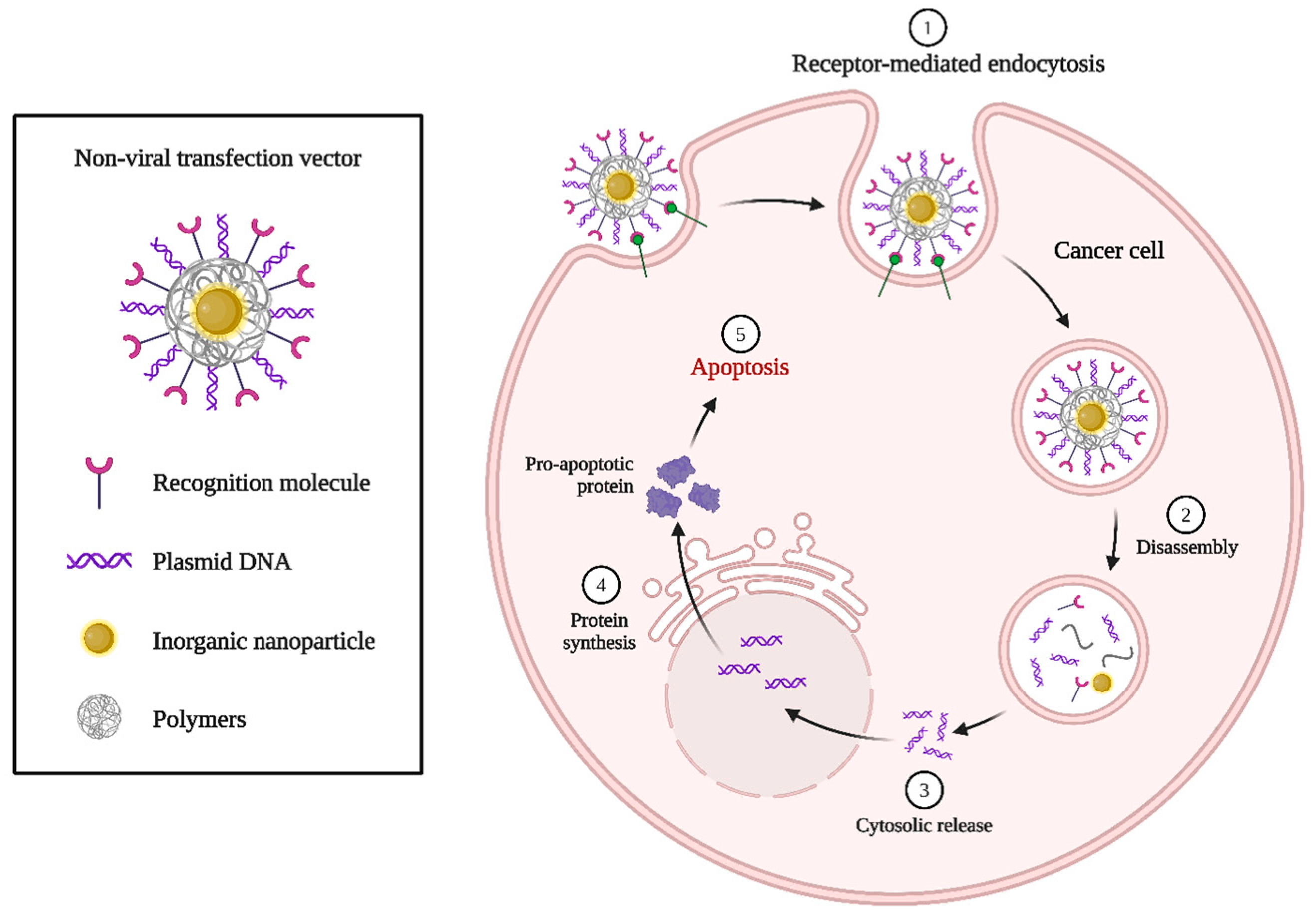 Biomolecules 15 00802 g006