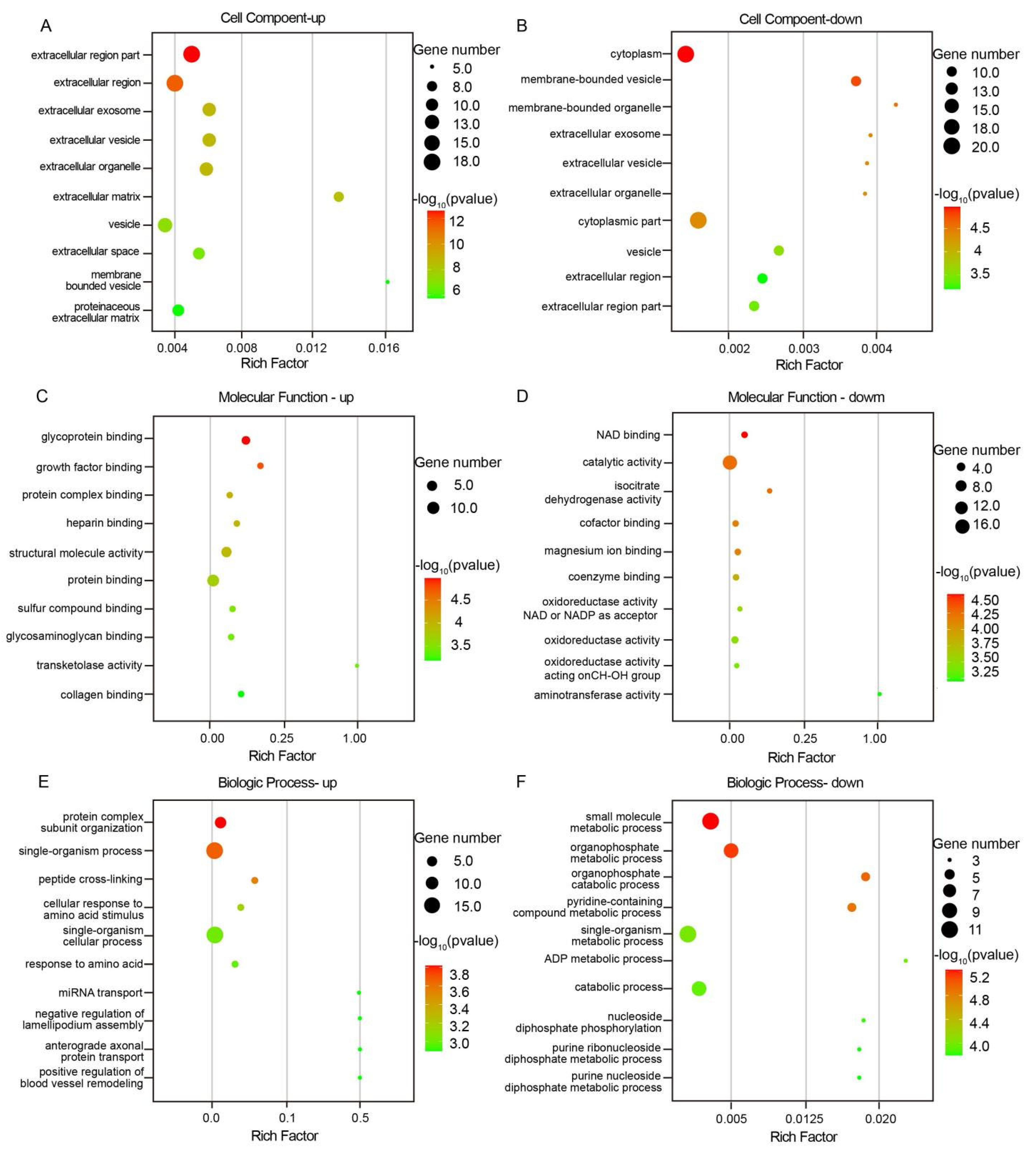 Biomolecules 15 00804 g004