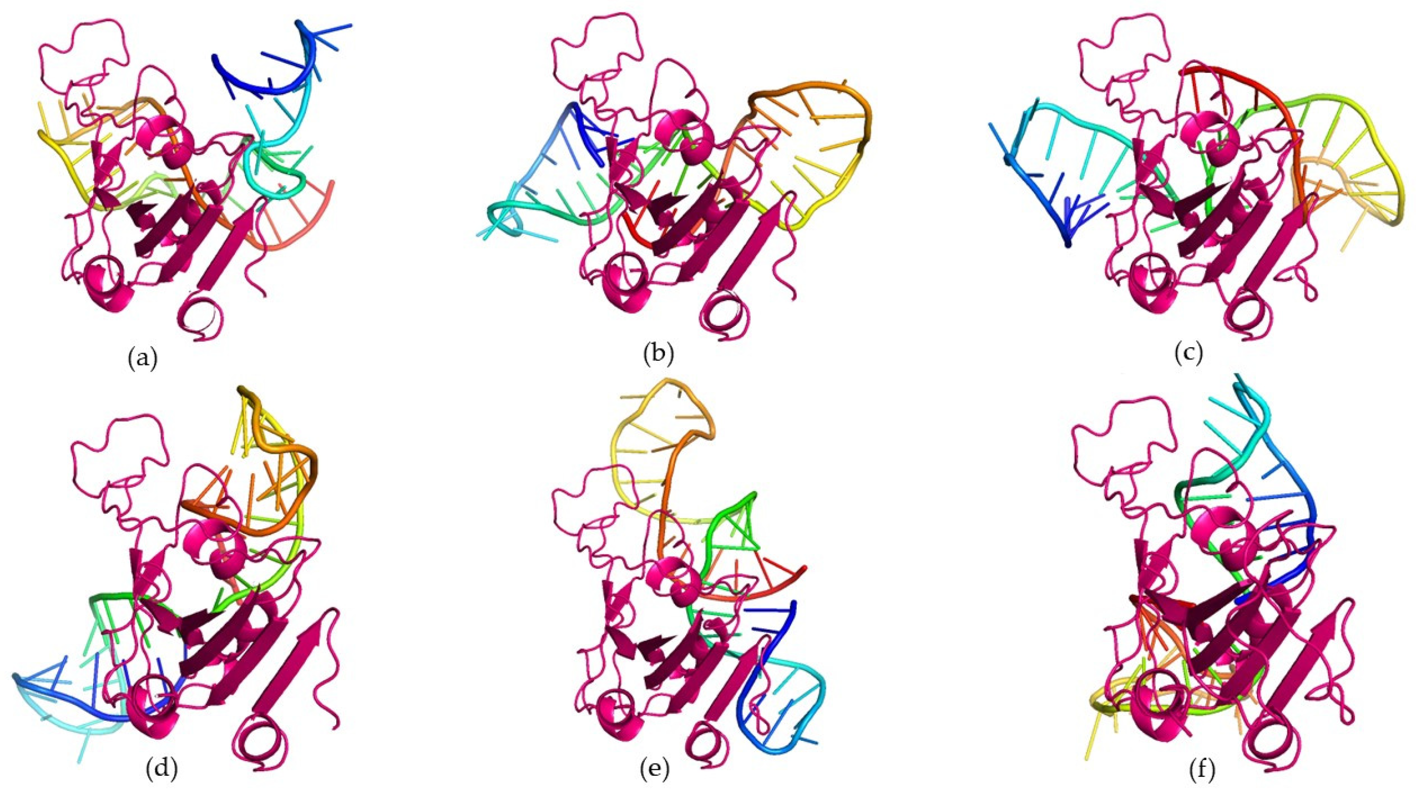 Biomolecules 15 00805 g003
