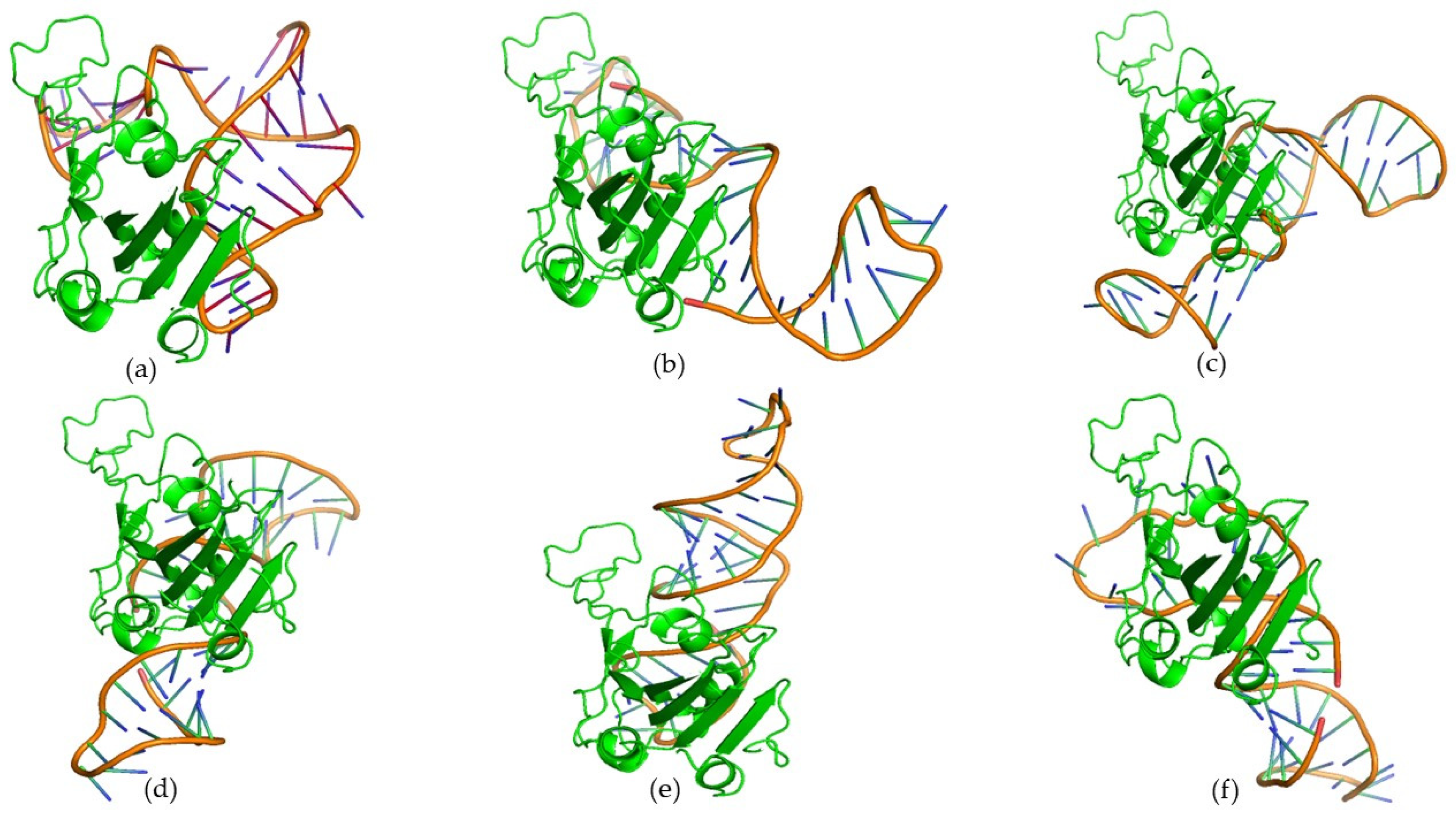 Biomolecules 15 00805 g004