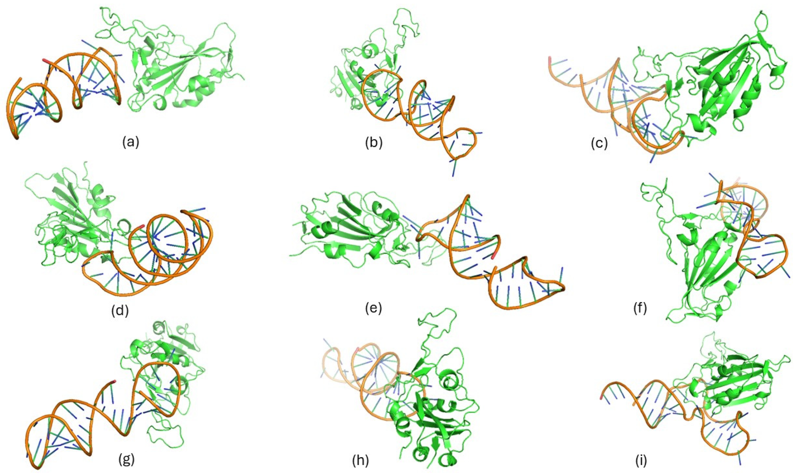 Biomolecules 15 00805 g006