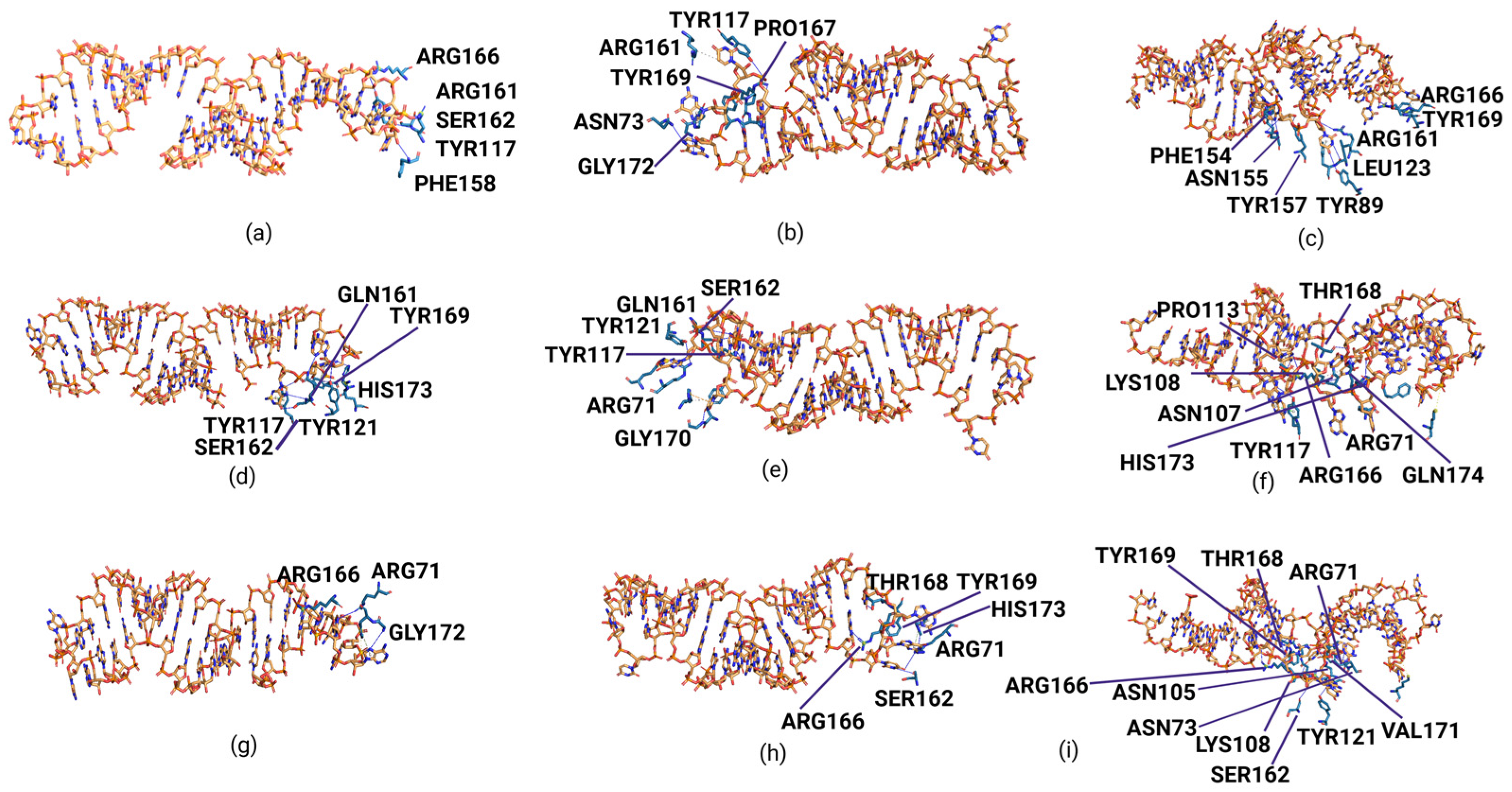 Biomolecules 15 00805 g007