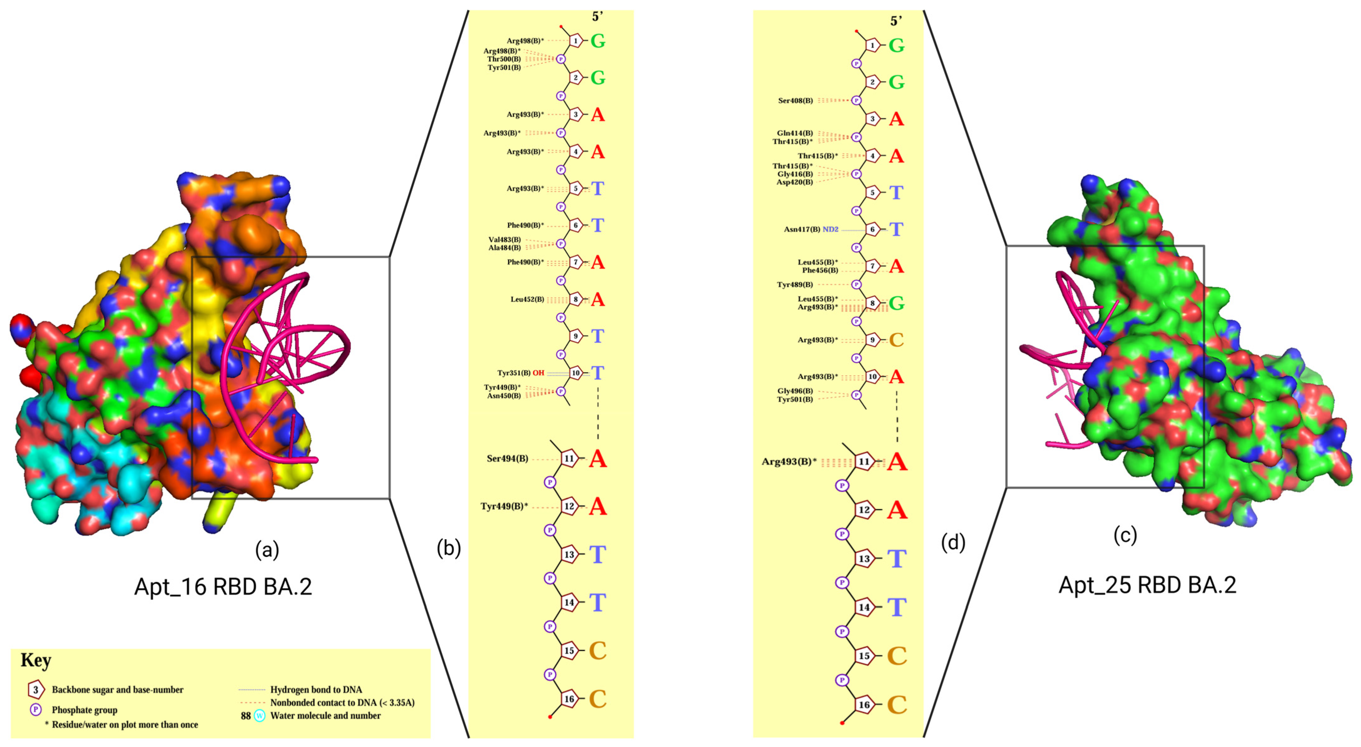 Biomolecules 15 00805 g012