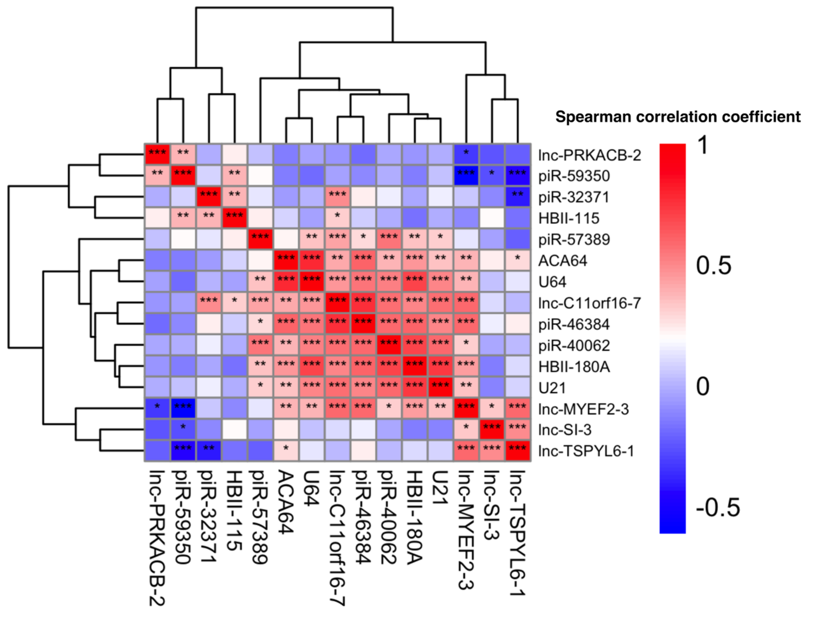 Biomolecules 15 00806 g005