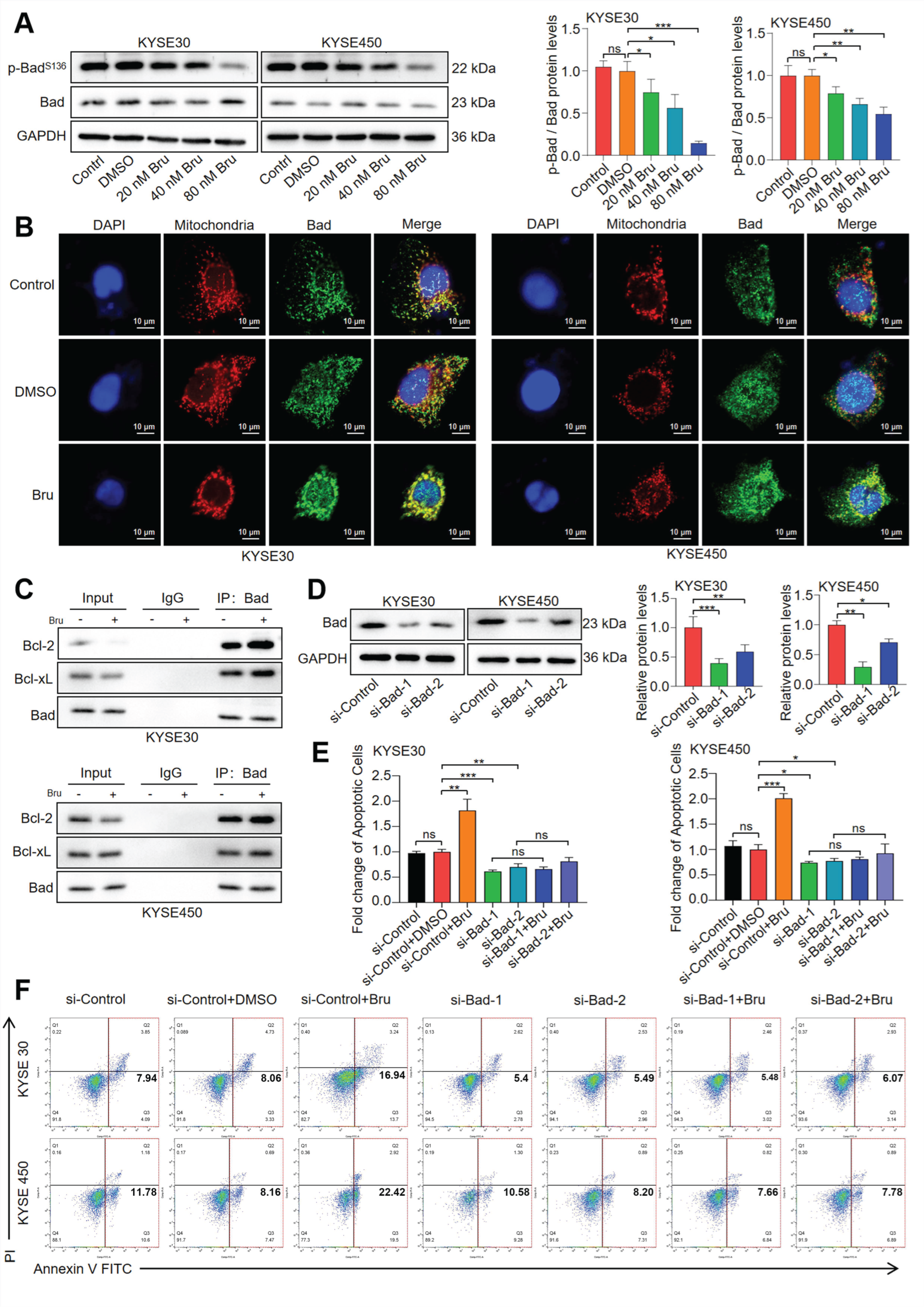 Biomolecules 15 00812 g003