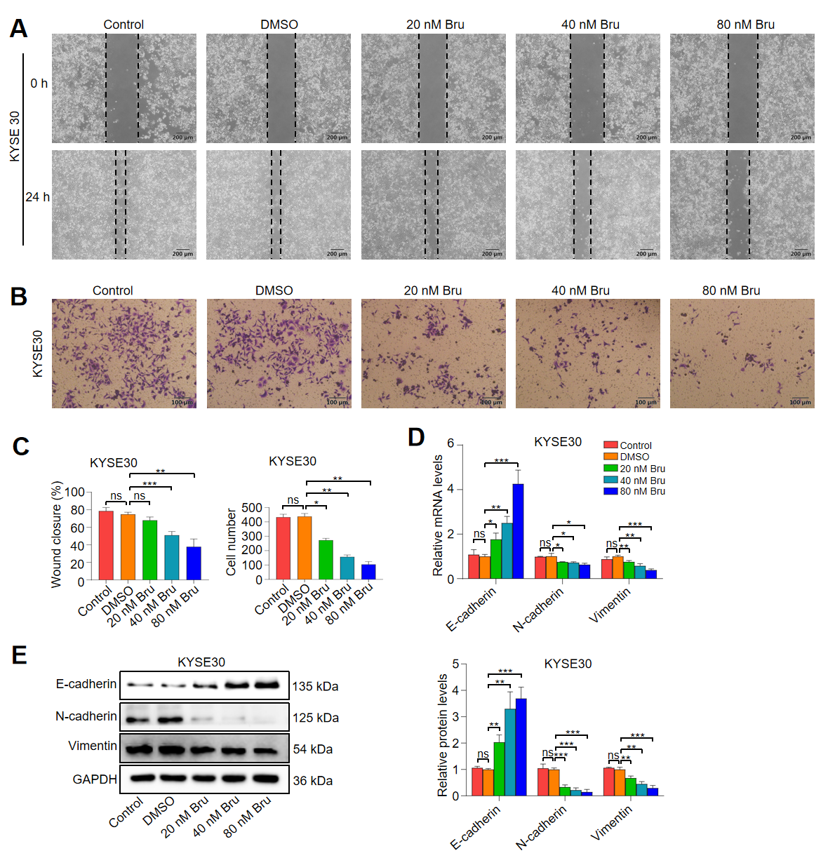 Biomolecules 15 00812 g004