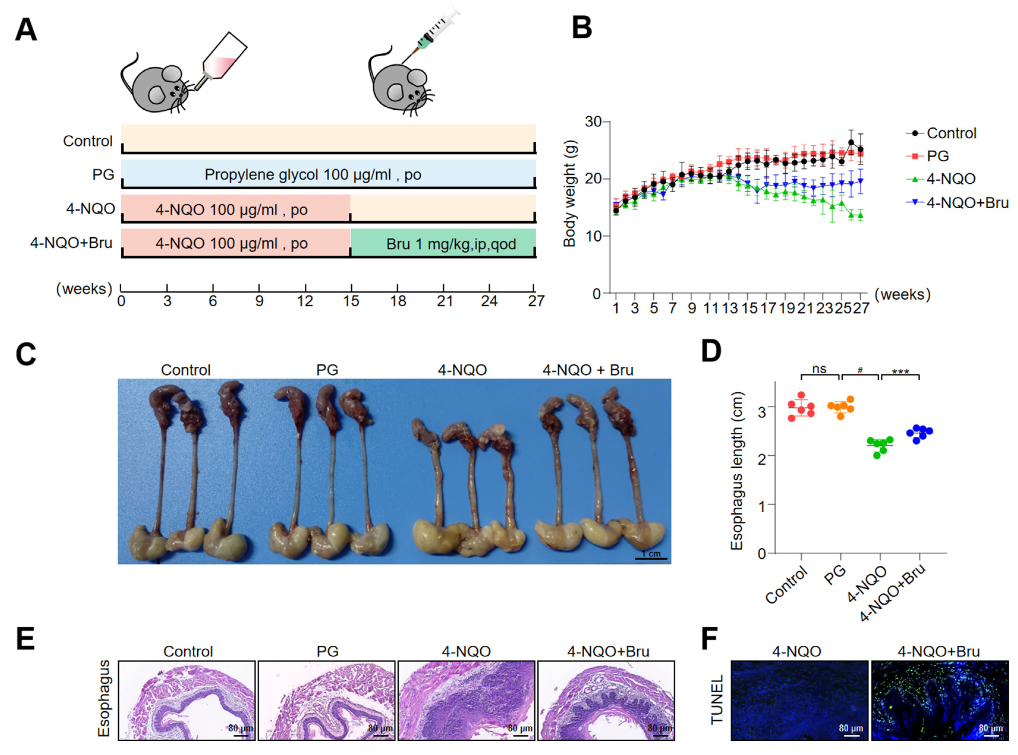 Biomolecules 15 00812 g008a