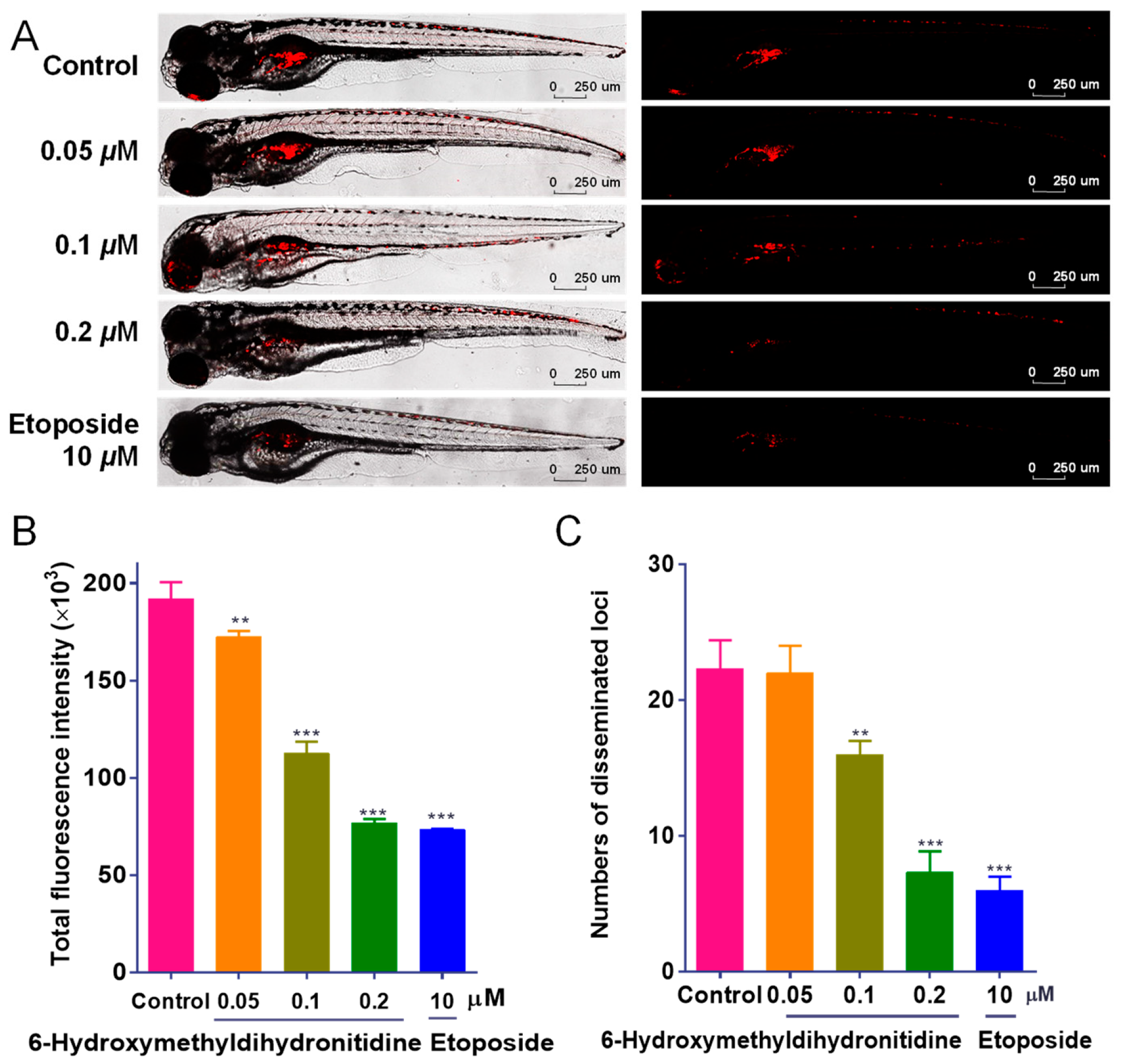 Biomolecules 15 00814 g002