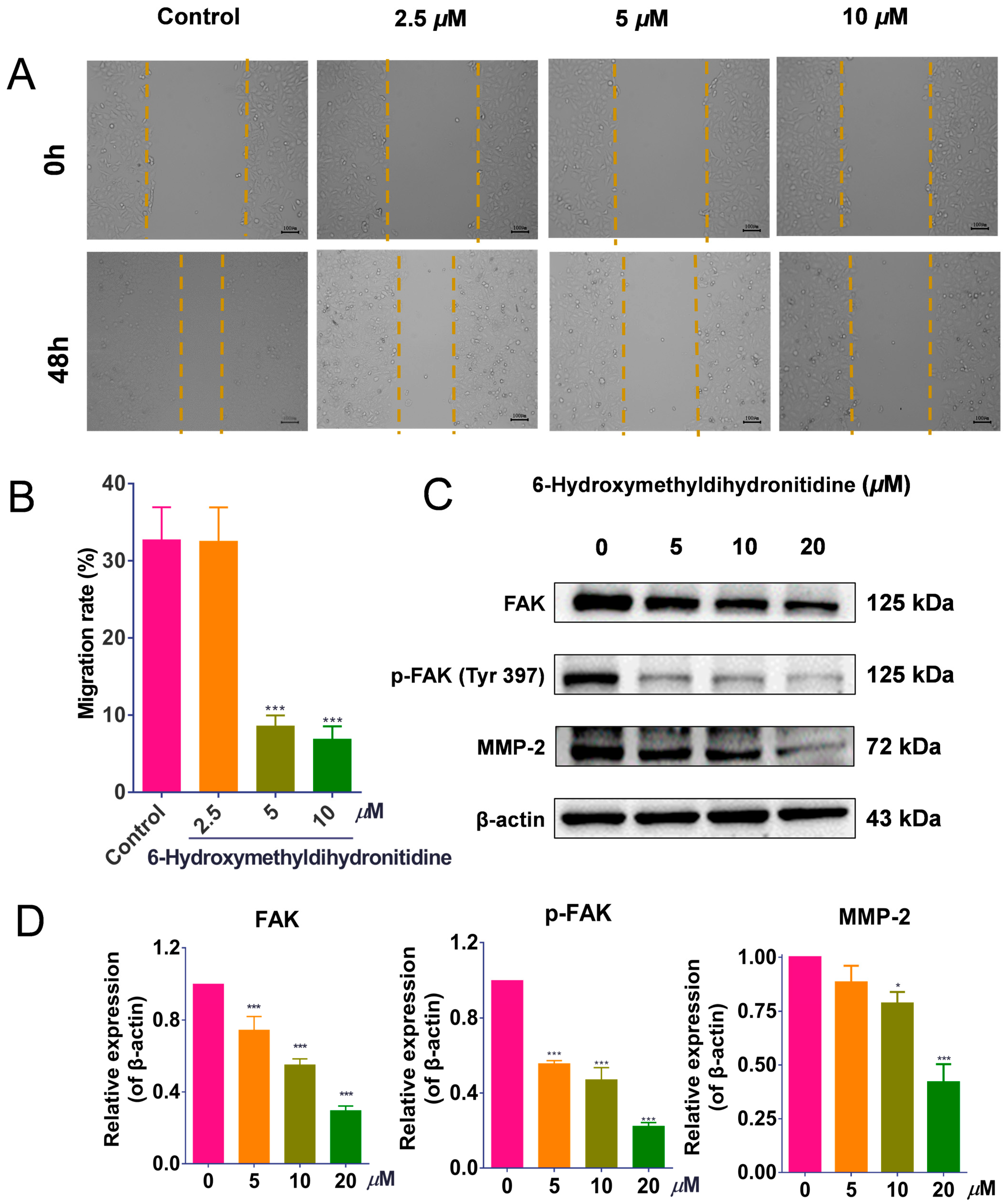Biomolecules 15 00814 g006