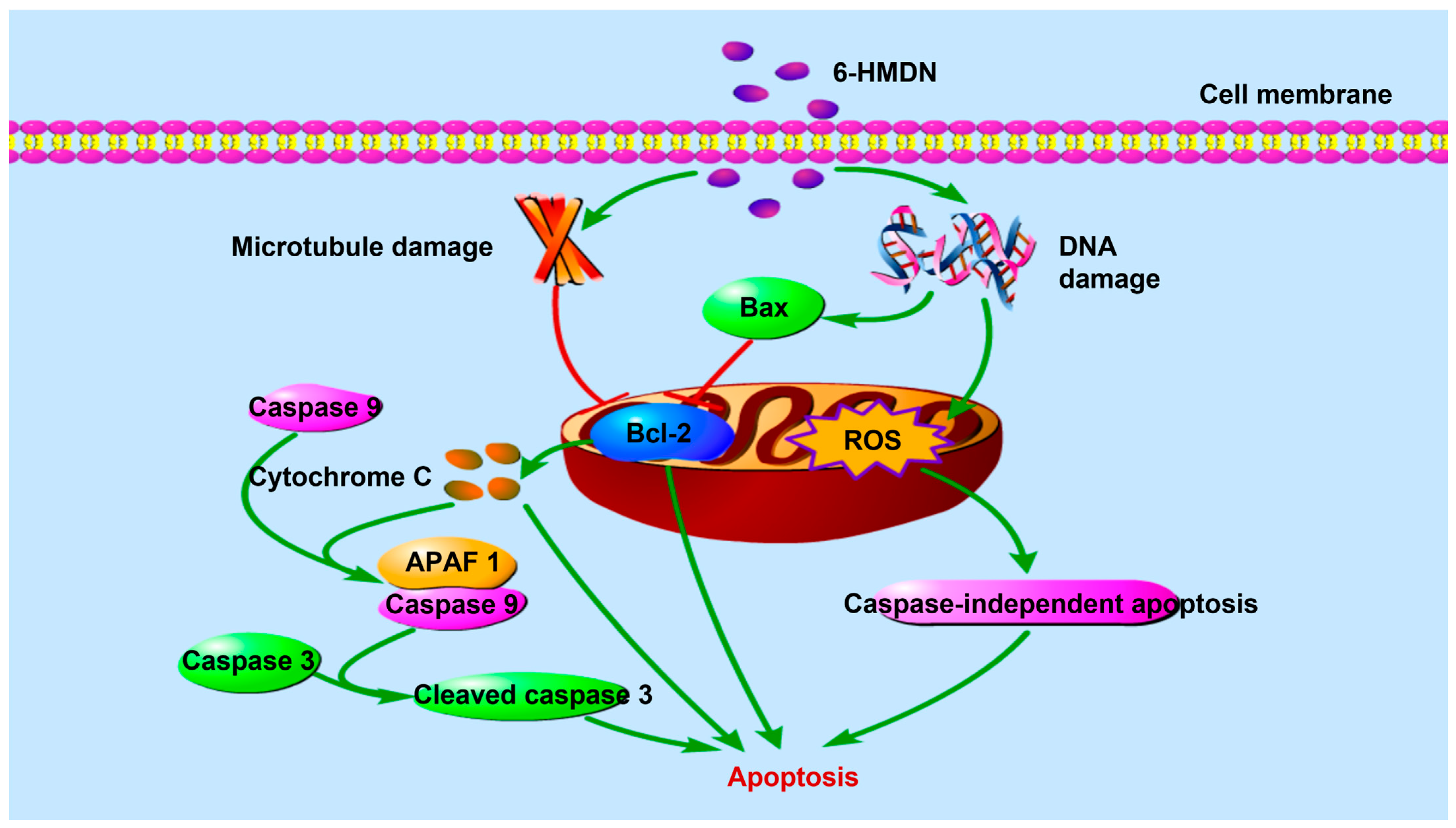 Biomolecules 15 00814 sch001