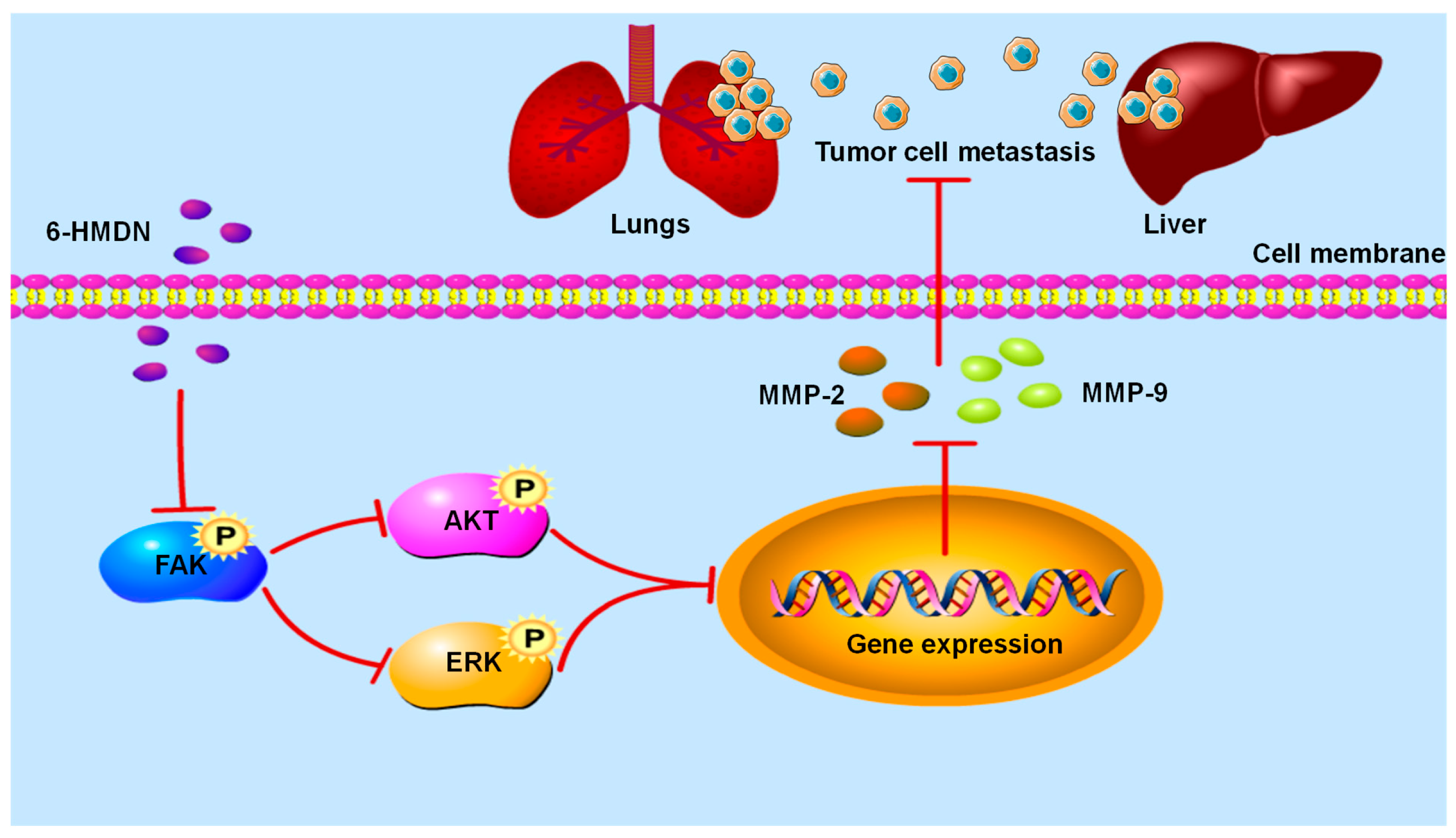Biomolecules 15 00814 sch002