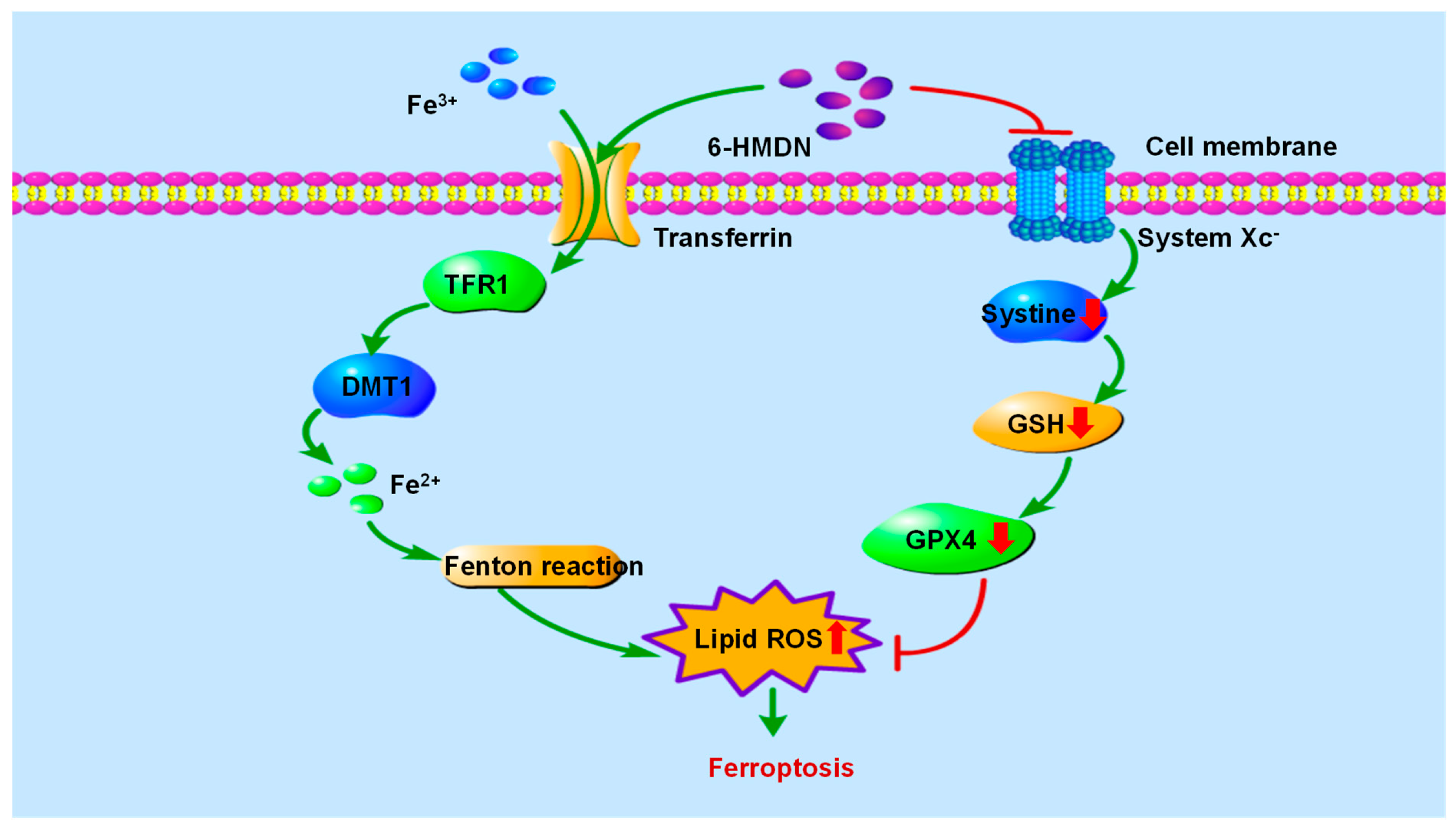 Biomolecules 15 00814 sch003