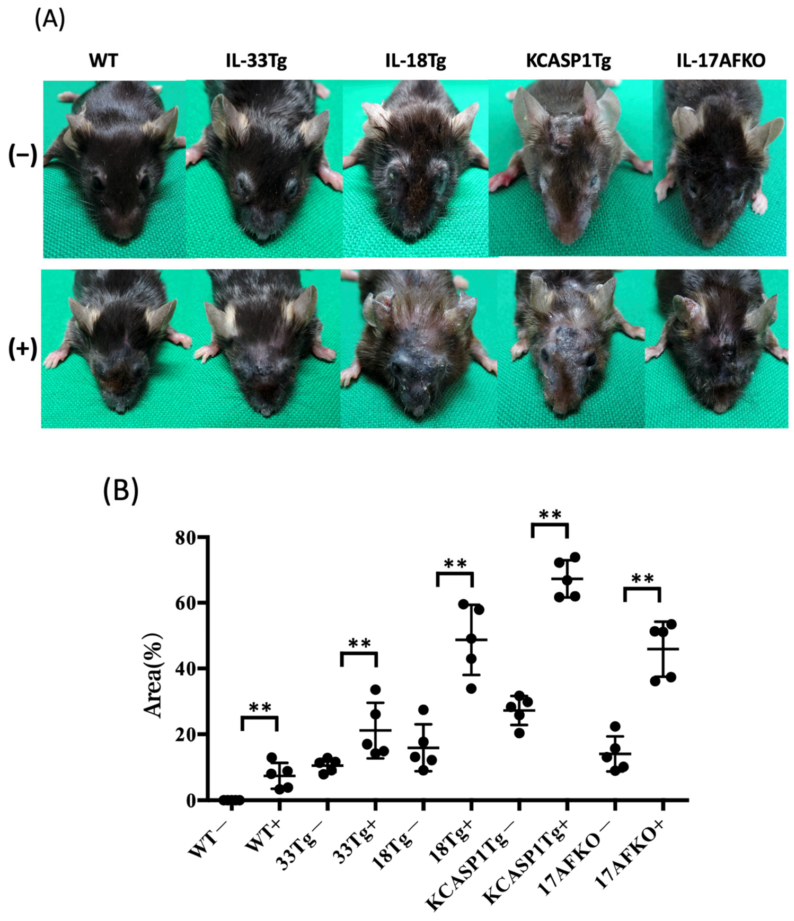 Biomolecules 15 00817 g001