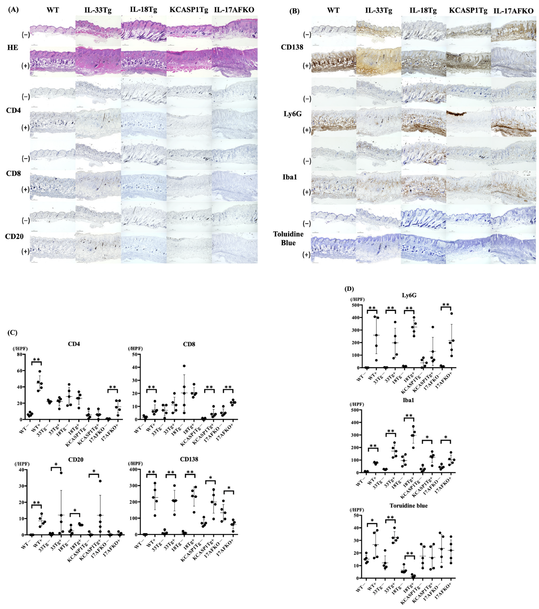 Biomolecules 15 00817 g002