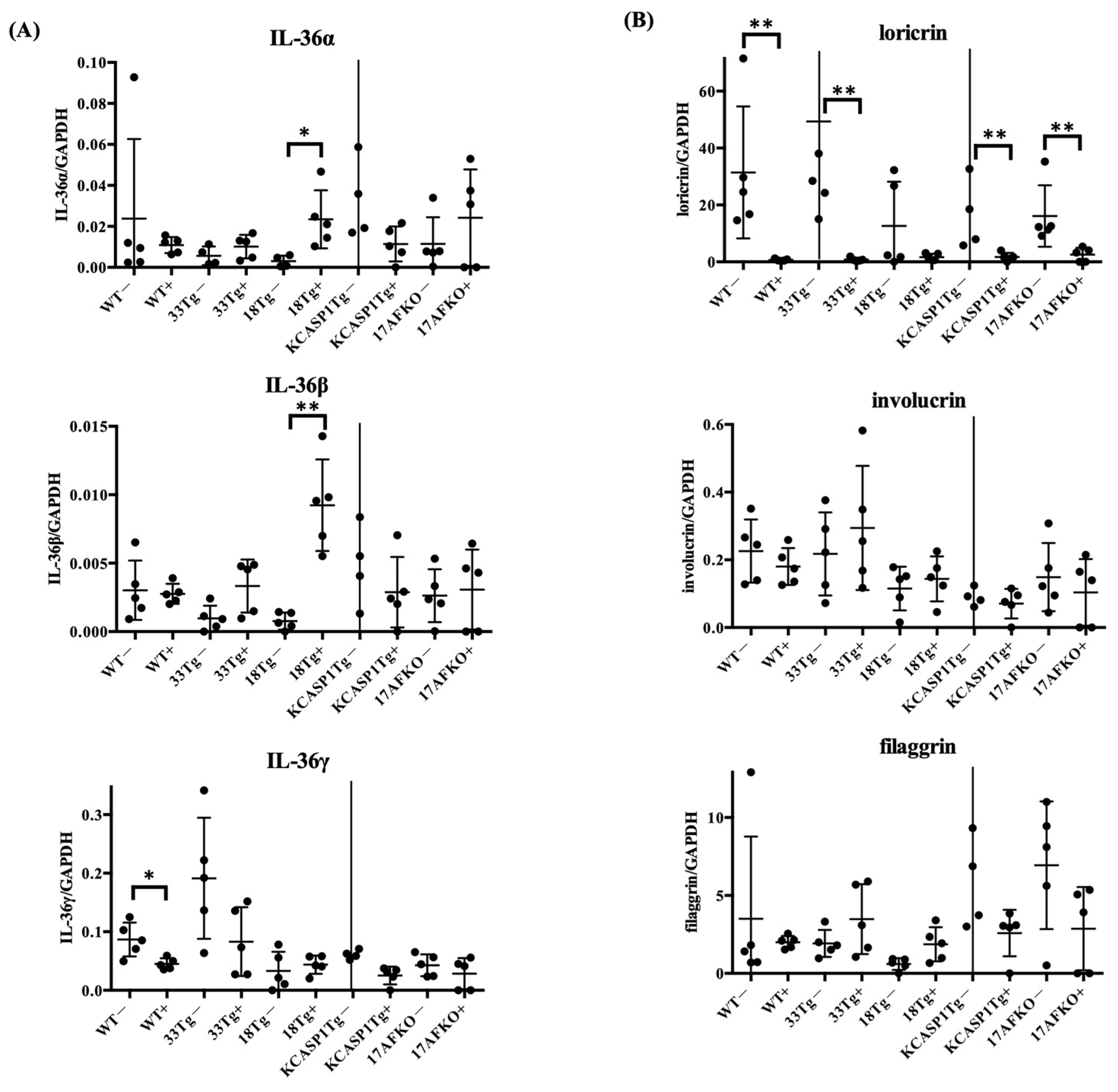Biomolecules 15 00817 g005