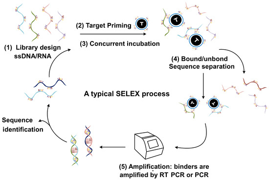 Advancements in SELEX Technology for Aptamers and Emerging