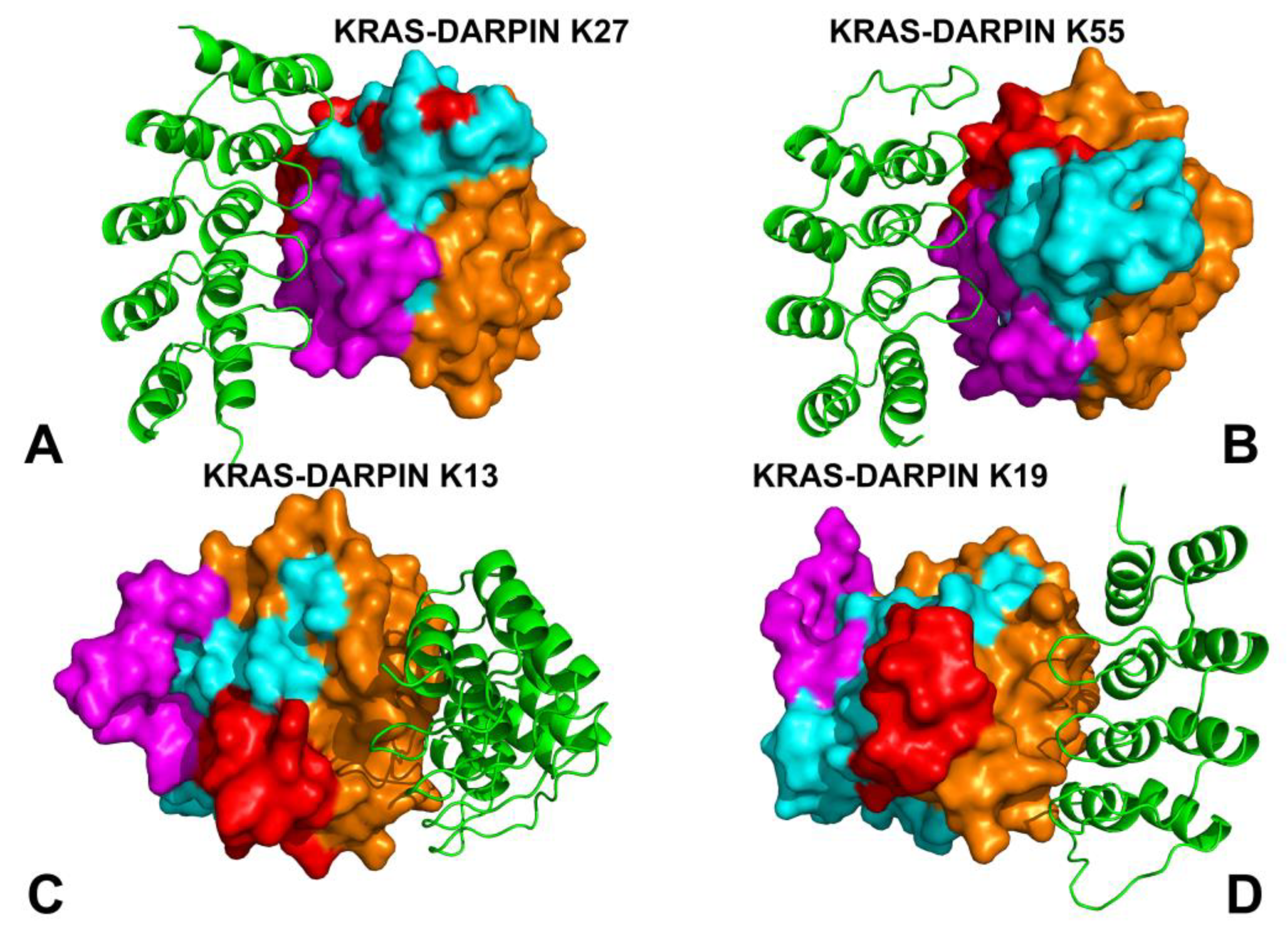 Biomolecules 15 00819 g001