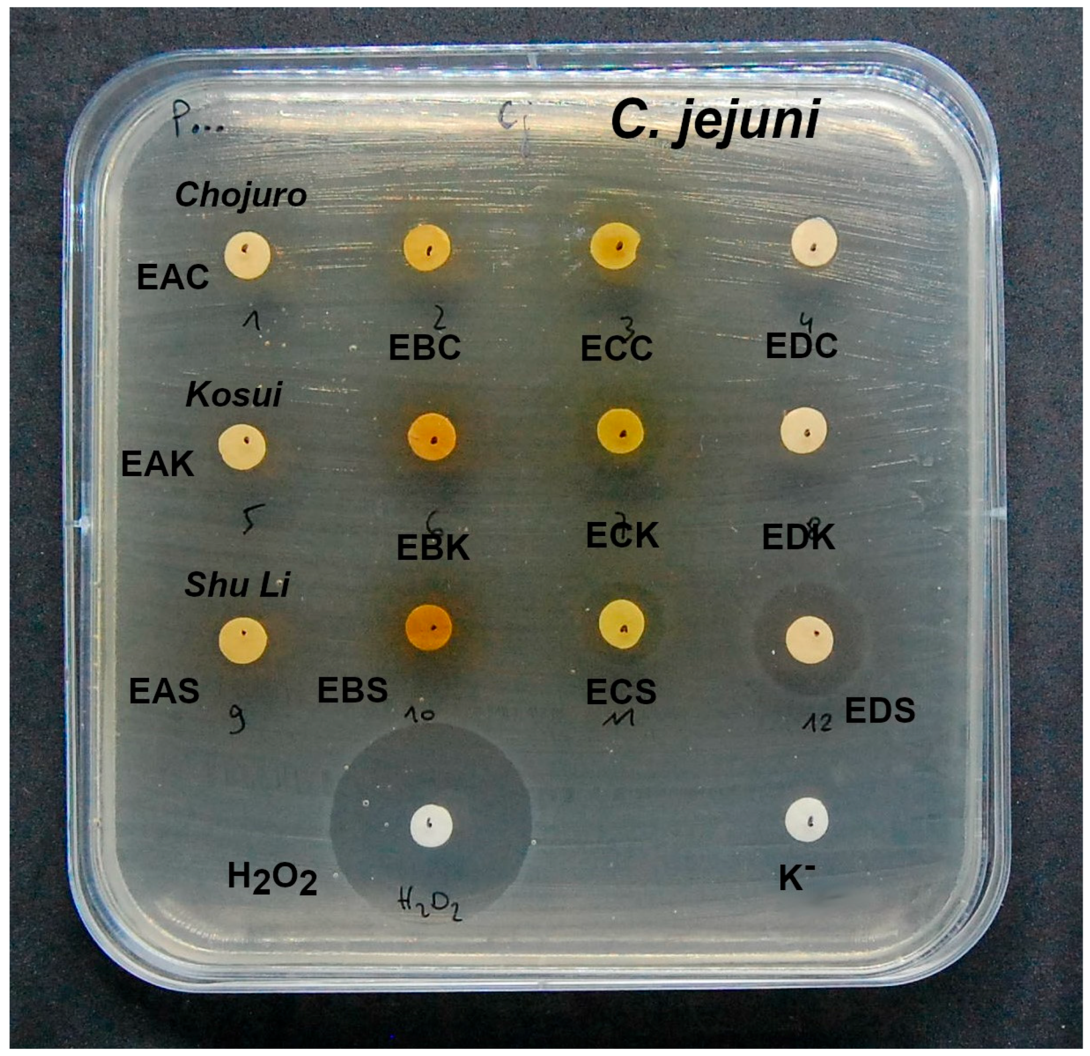 Biomolecules 15 00821 g005