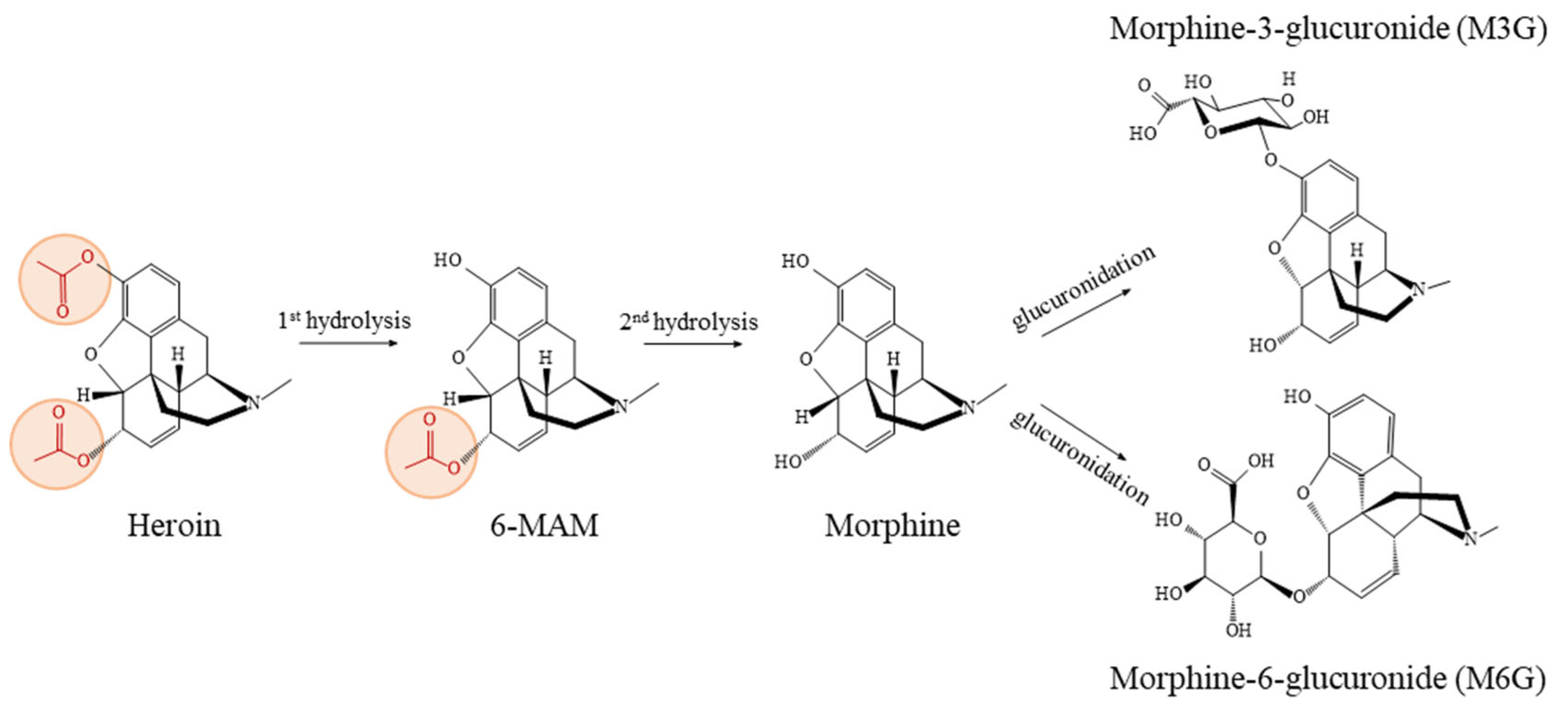 Biomolecules 15 00822 g001
