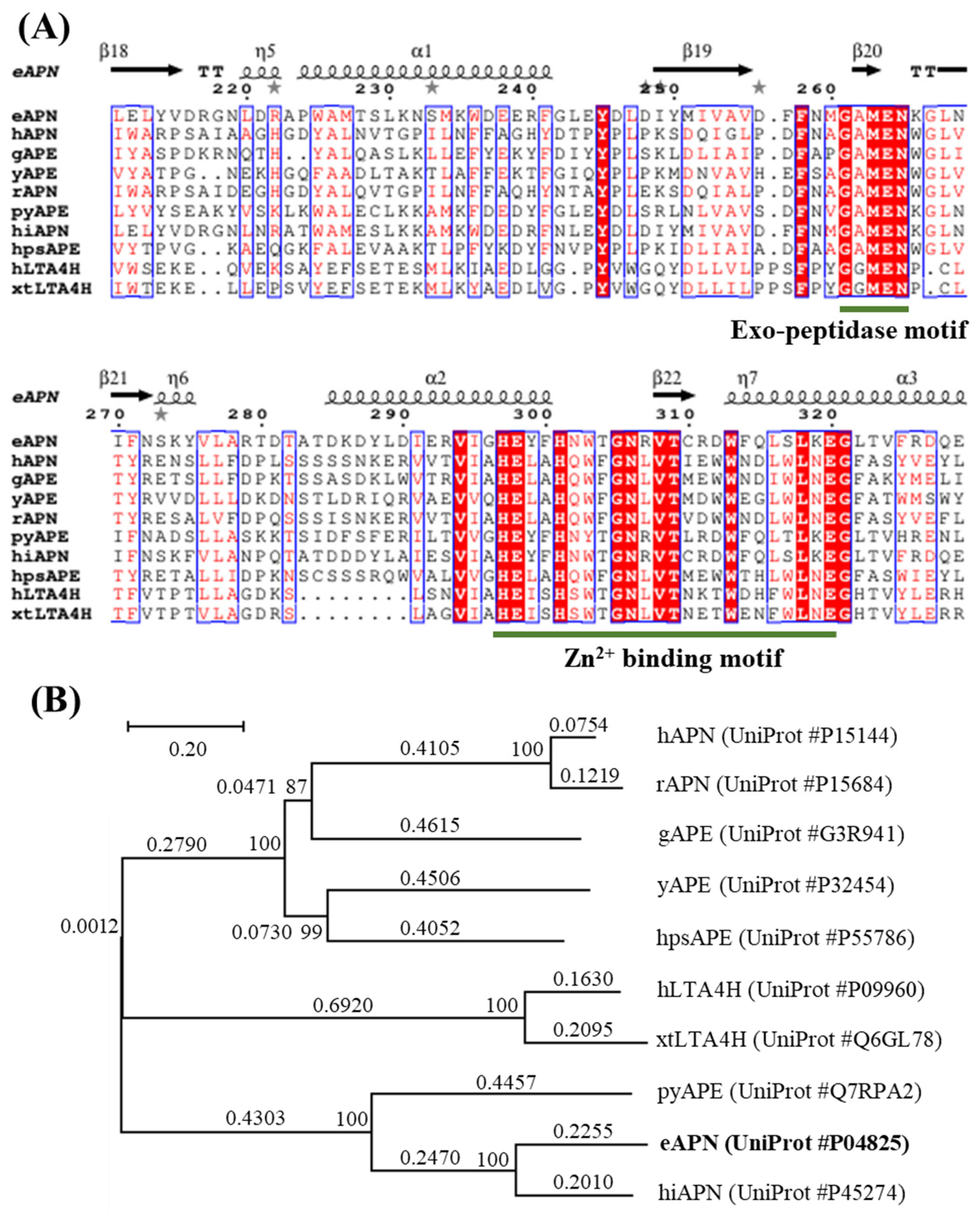 Biomolecules 15 00822 g002