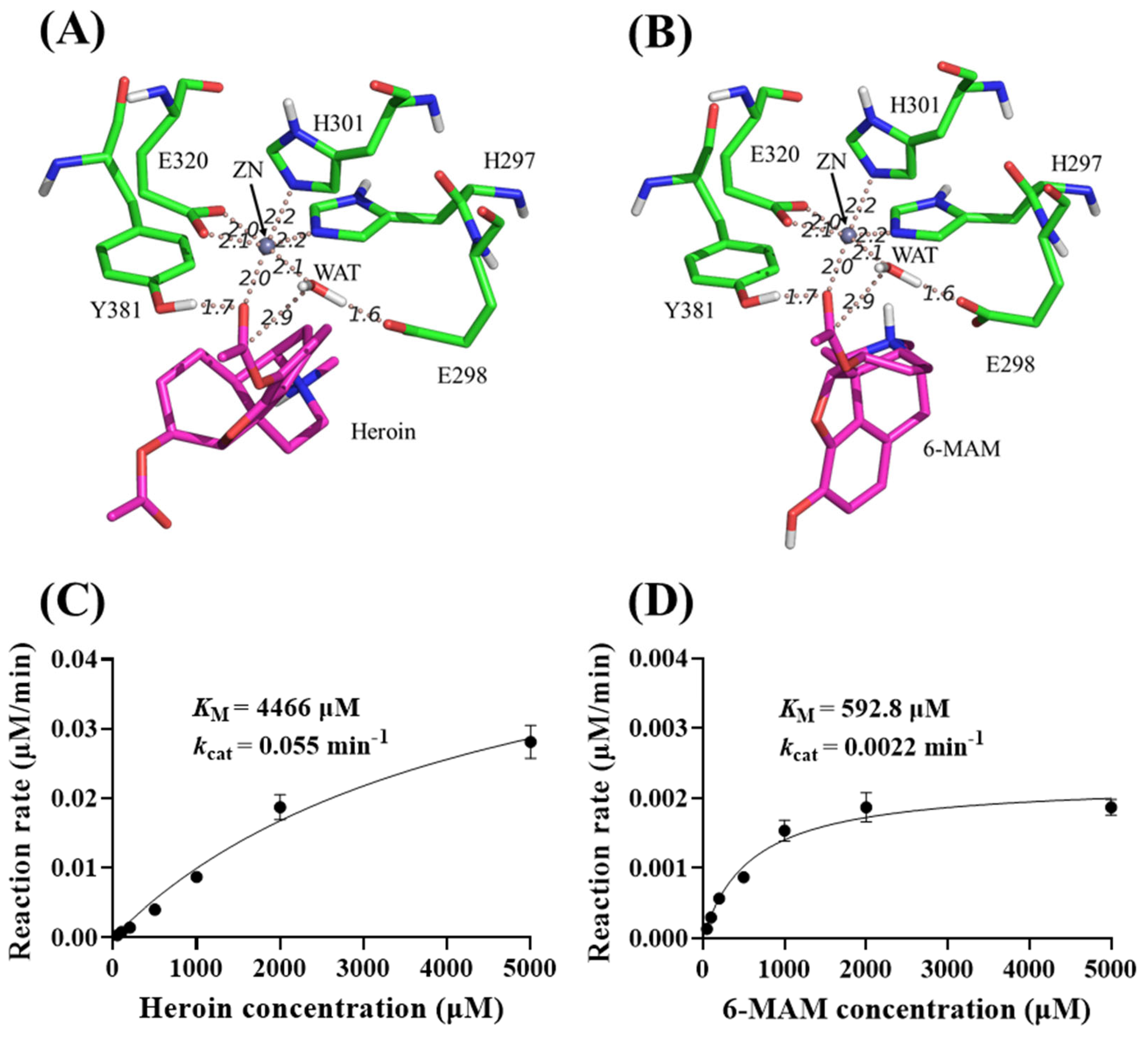 Biomolecules 15 00822 g007
