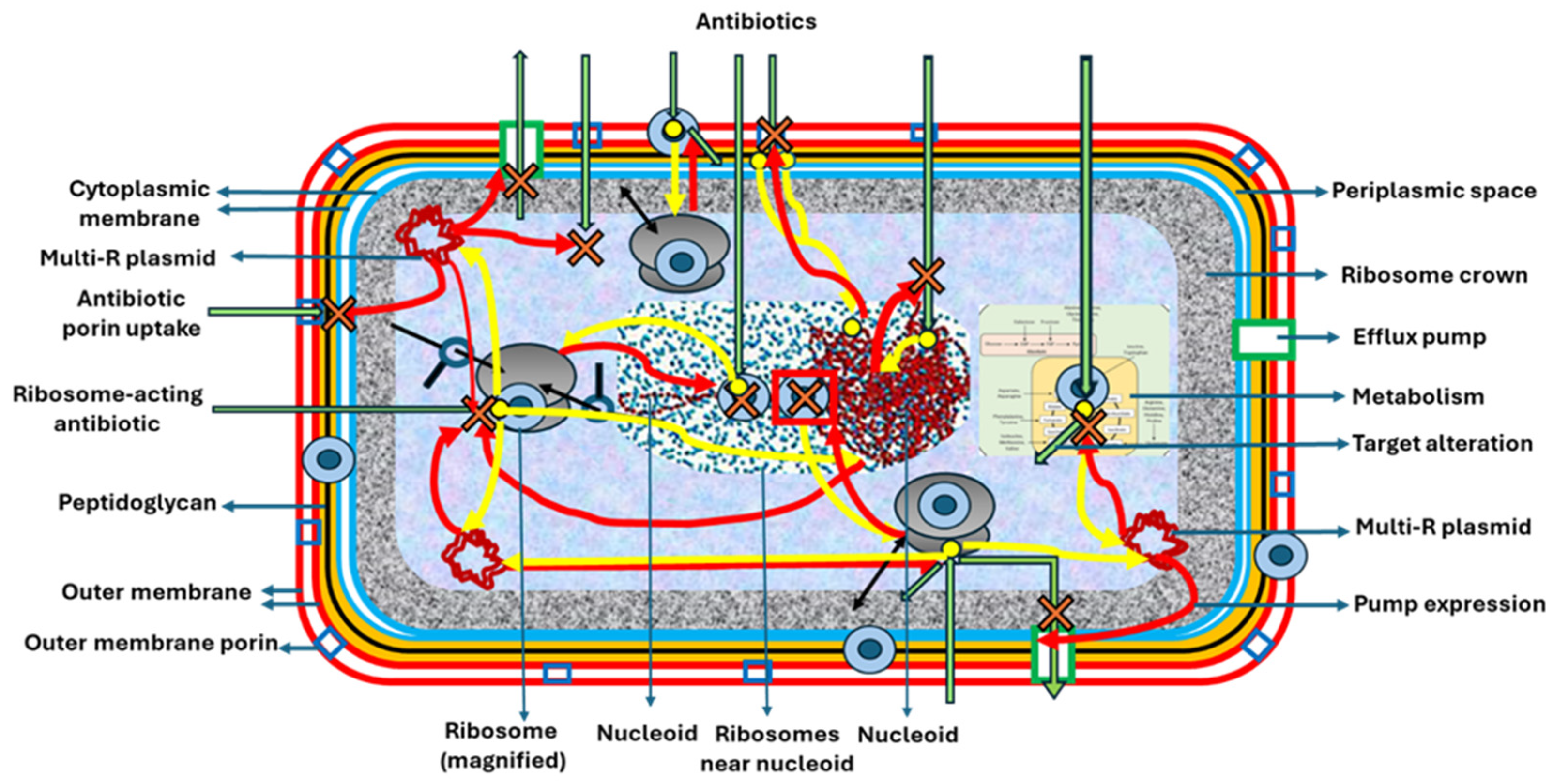 Biomolecules 15 00823 g002