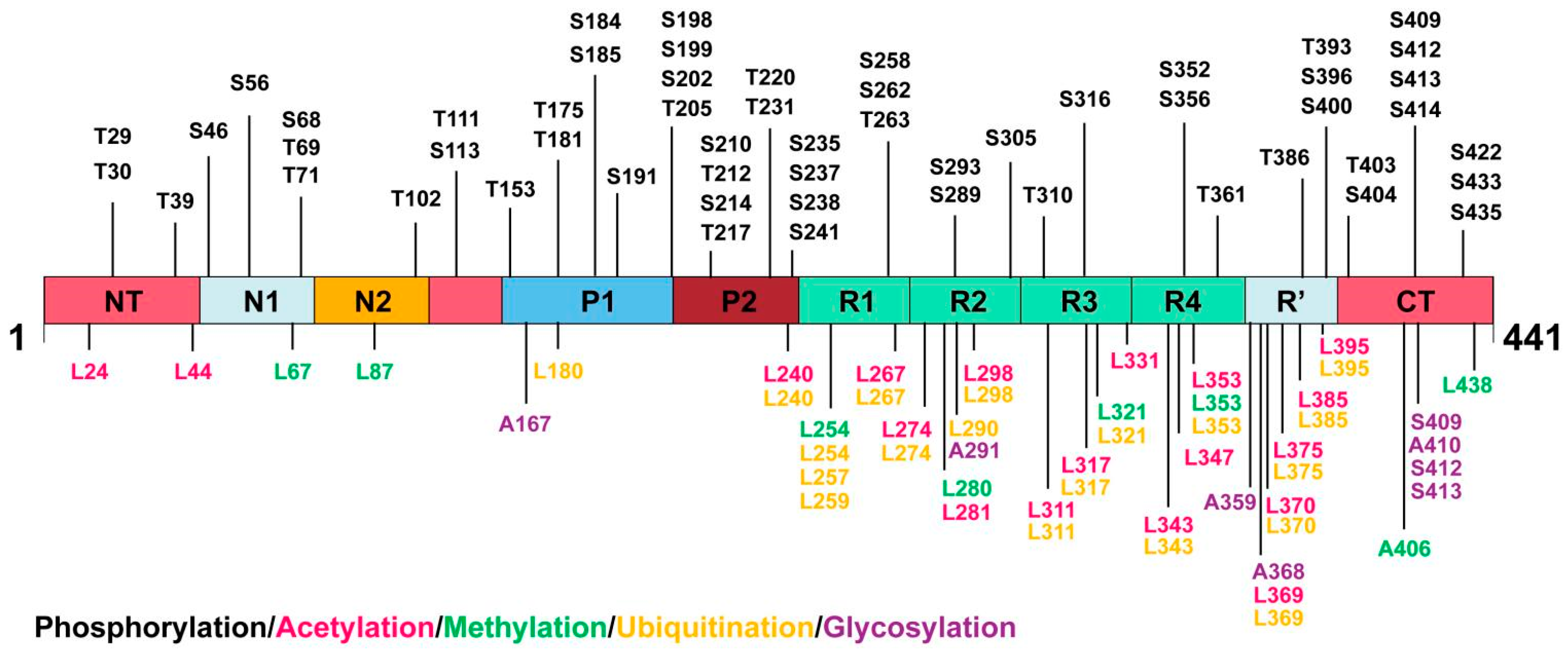 Biomolecules 15 00824 g002