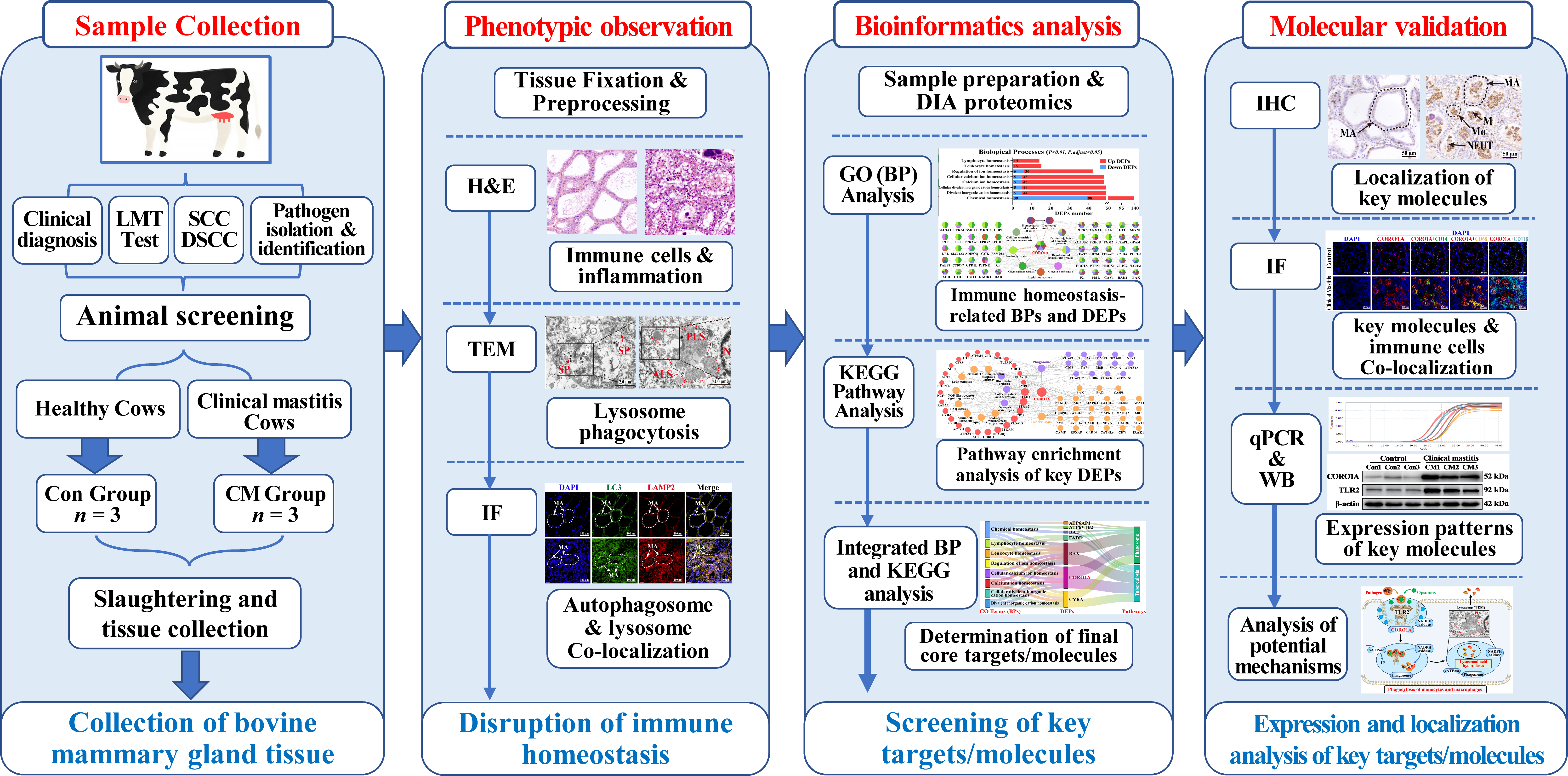 Biomolecules 15 00827 g001