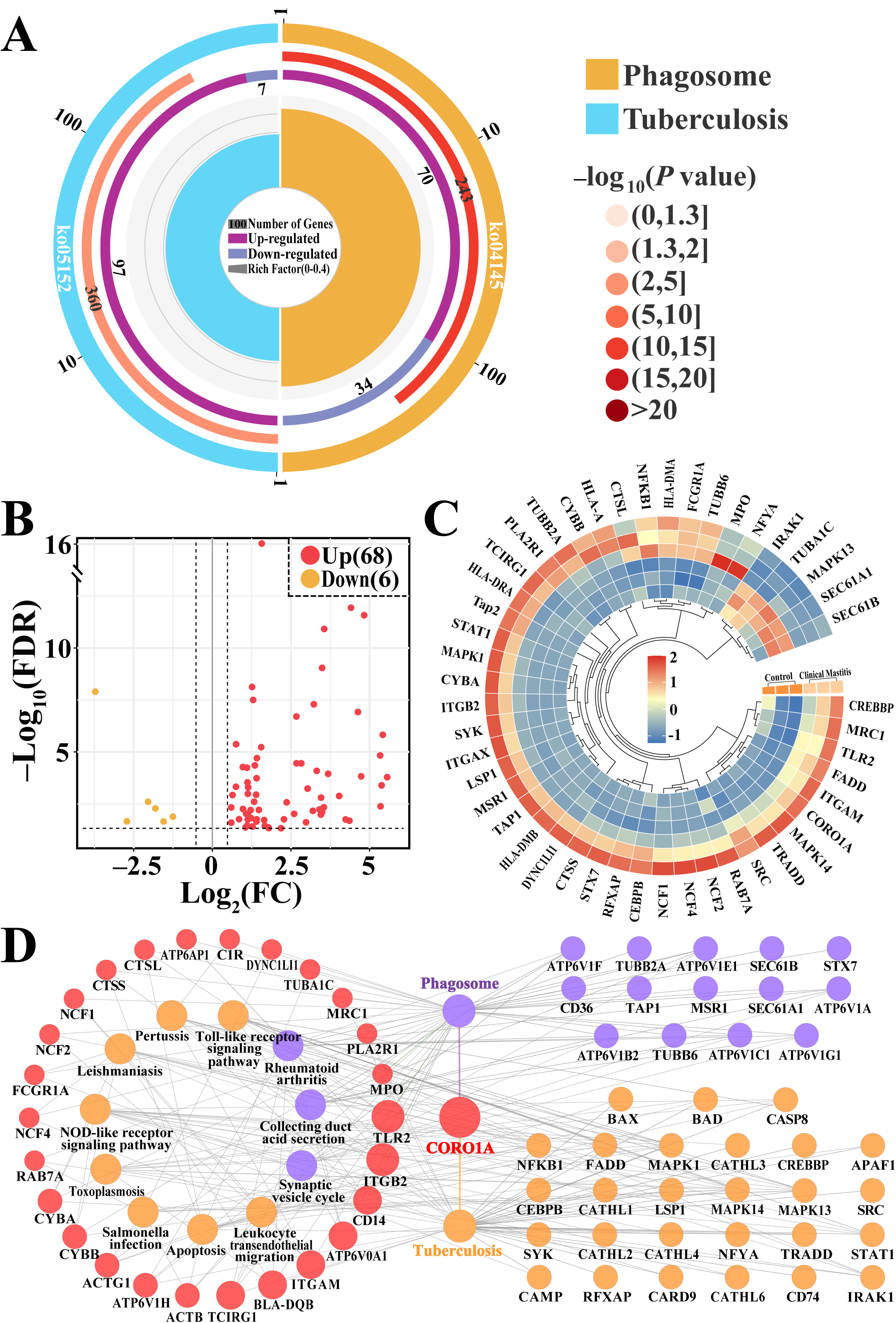 Biomolecules 15 00827 g004