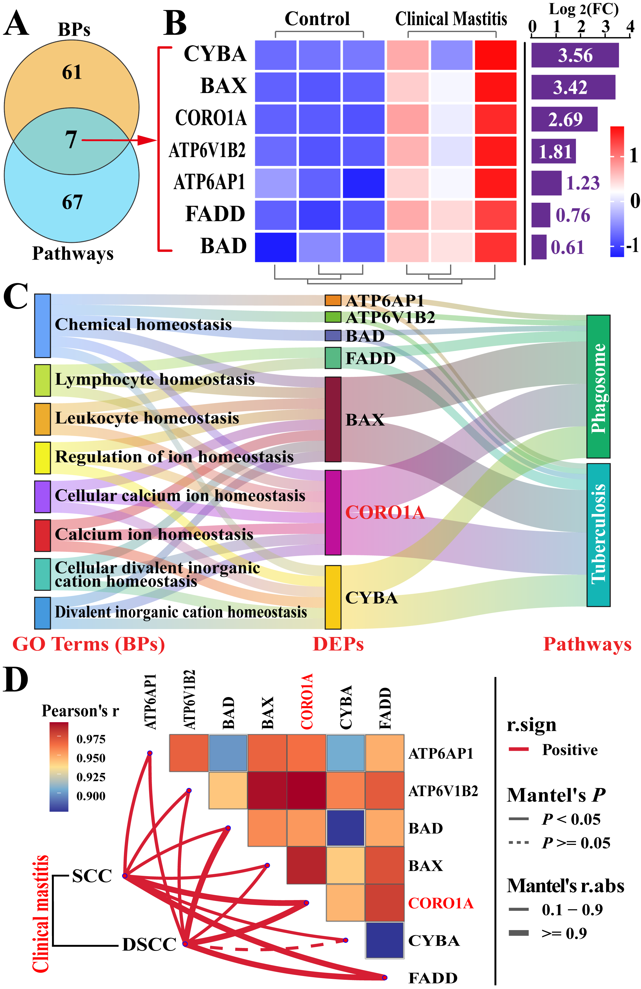 Biomolecules 15 00827 g005