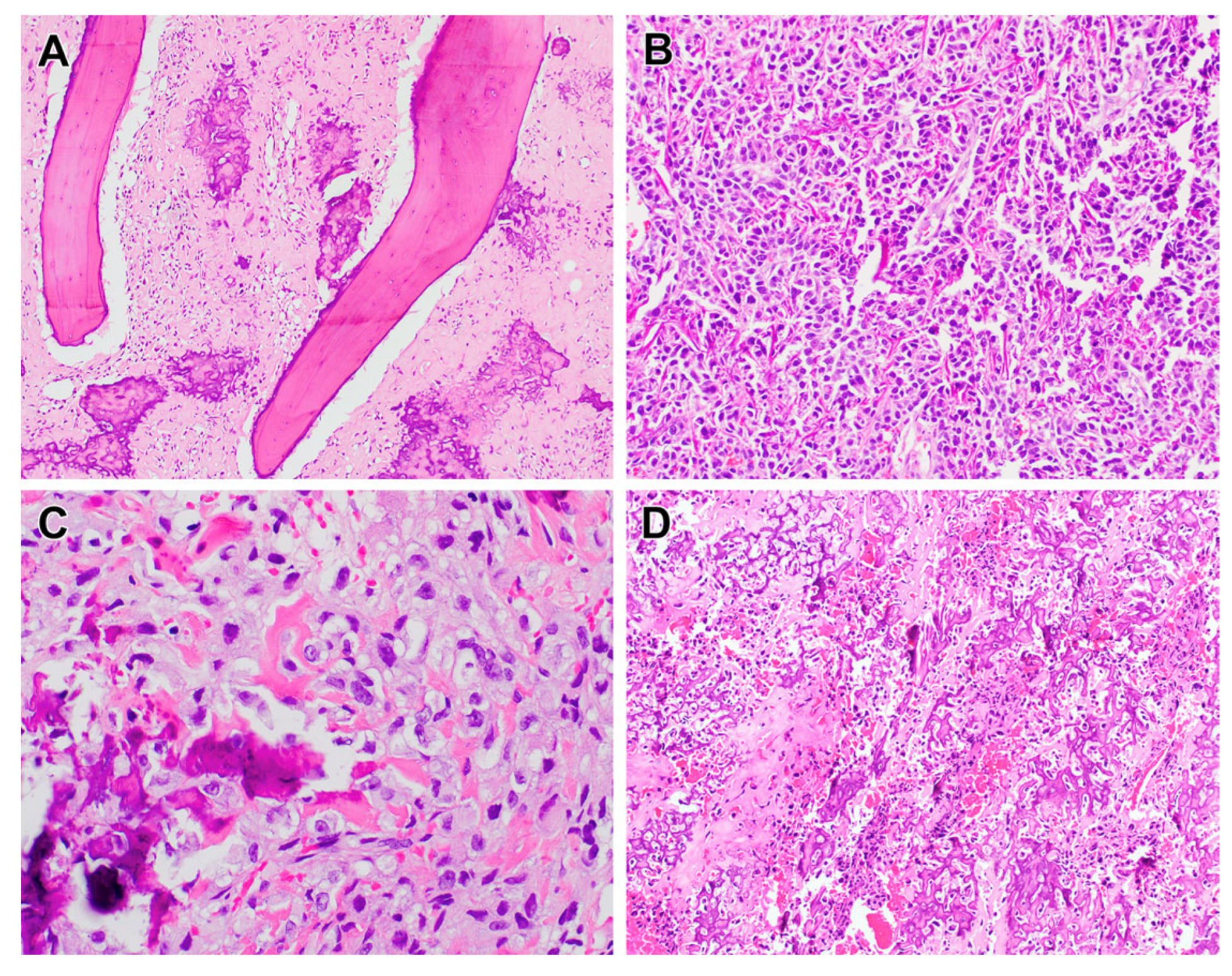Biomolecules 15 00833 g001