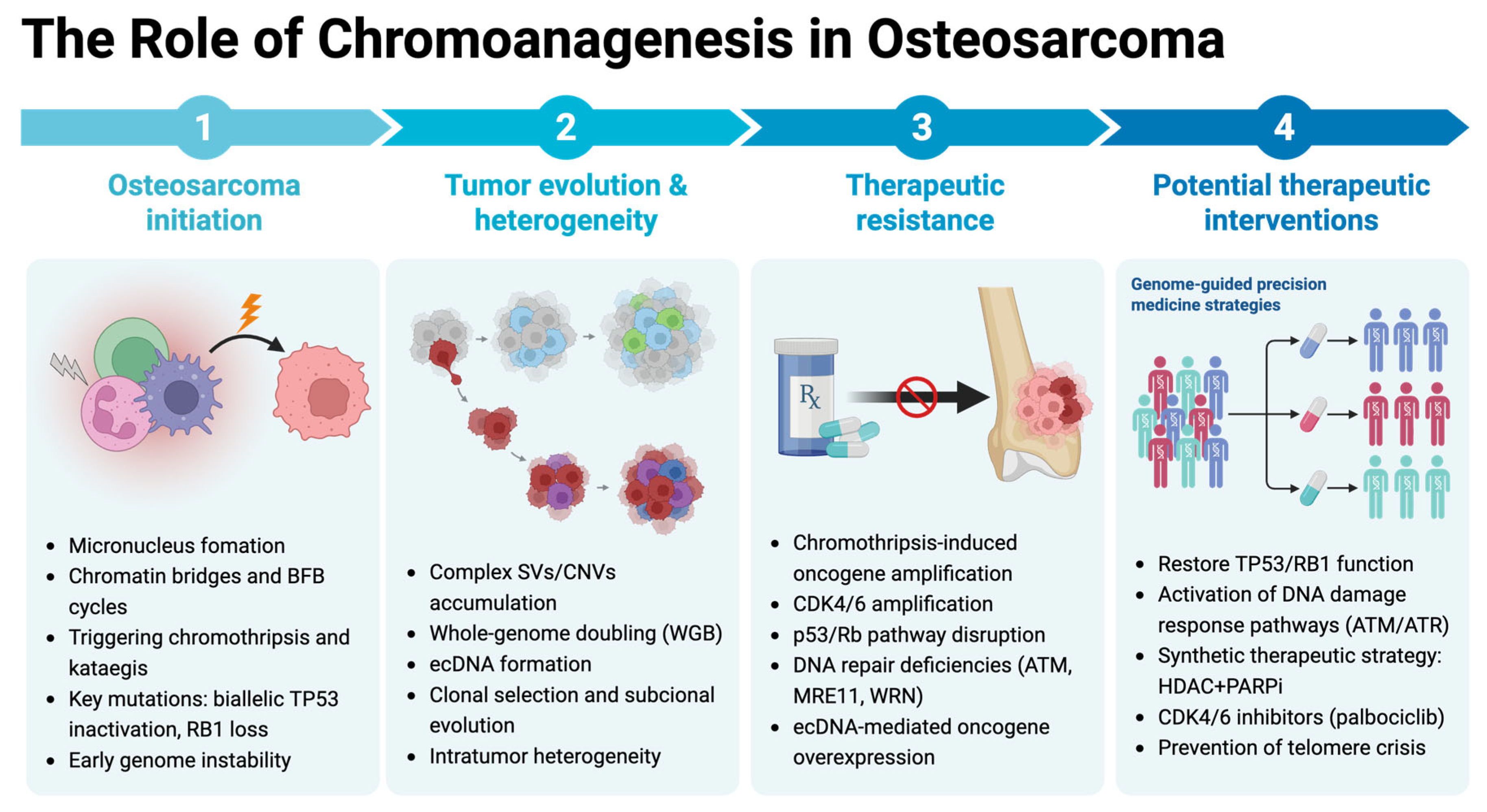 Biomolecules 15 00833 g003