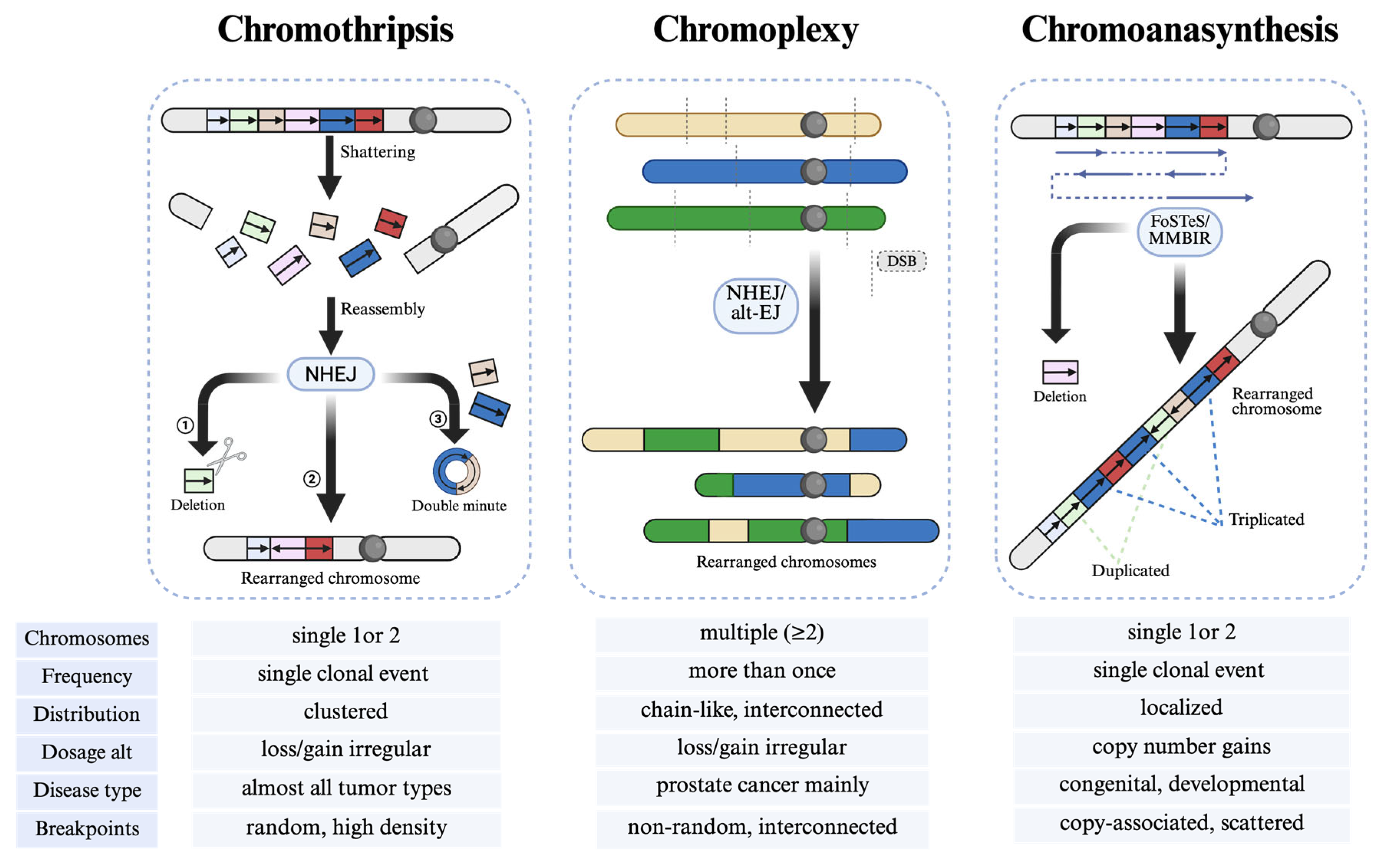 Biomolecules 15 00833 g004