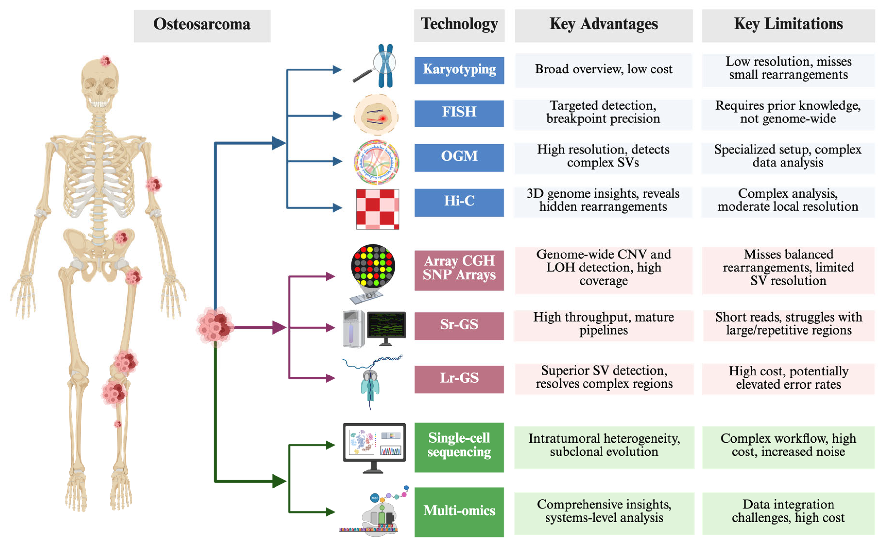 Biomolecules 15 00833 g005