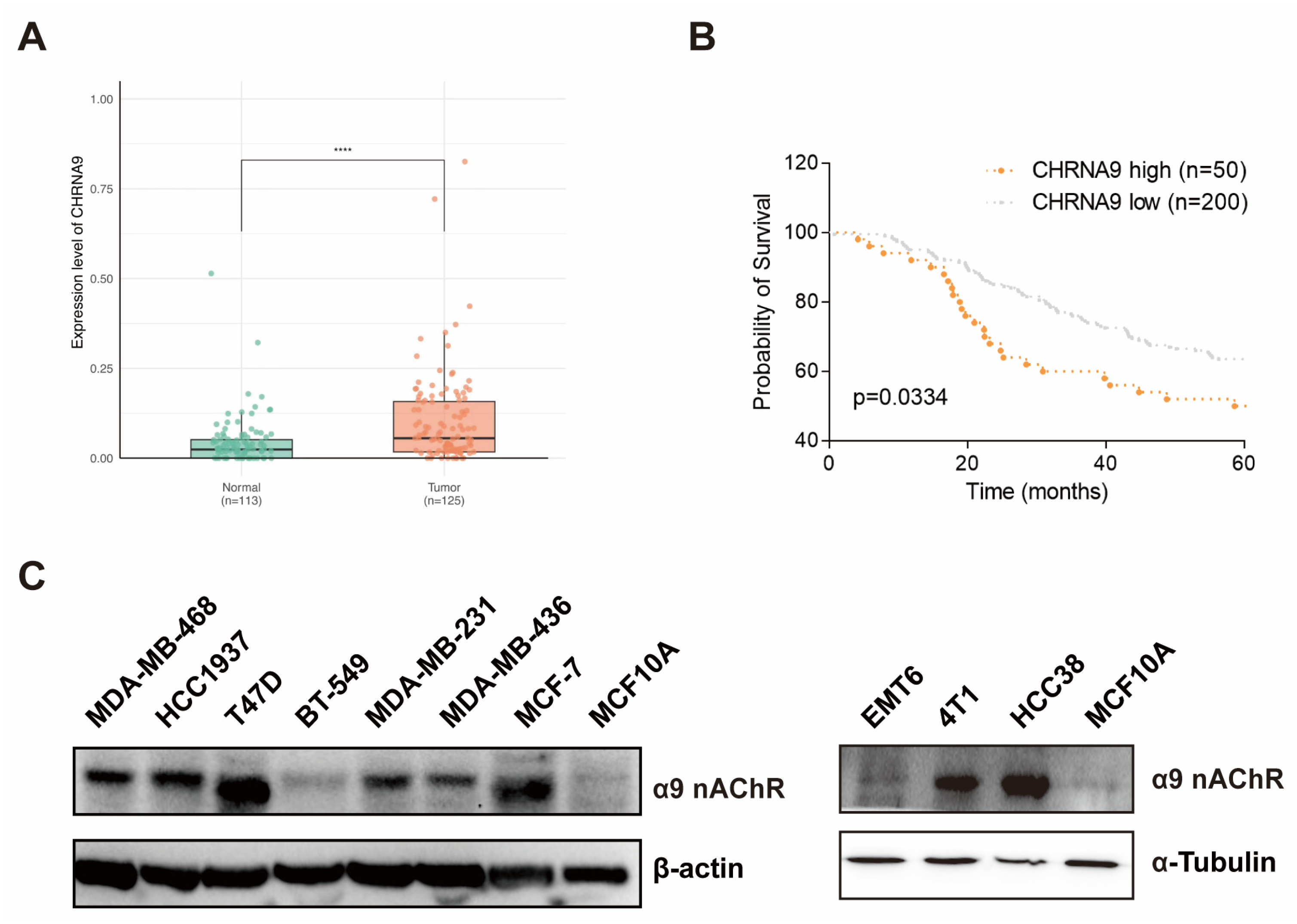 Biomolecules 15 00835 g001
