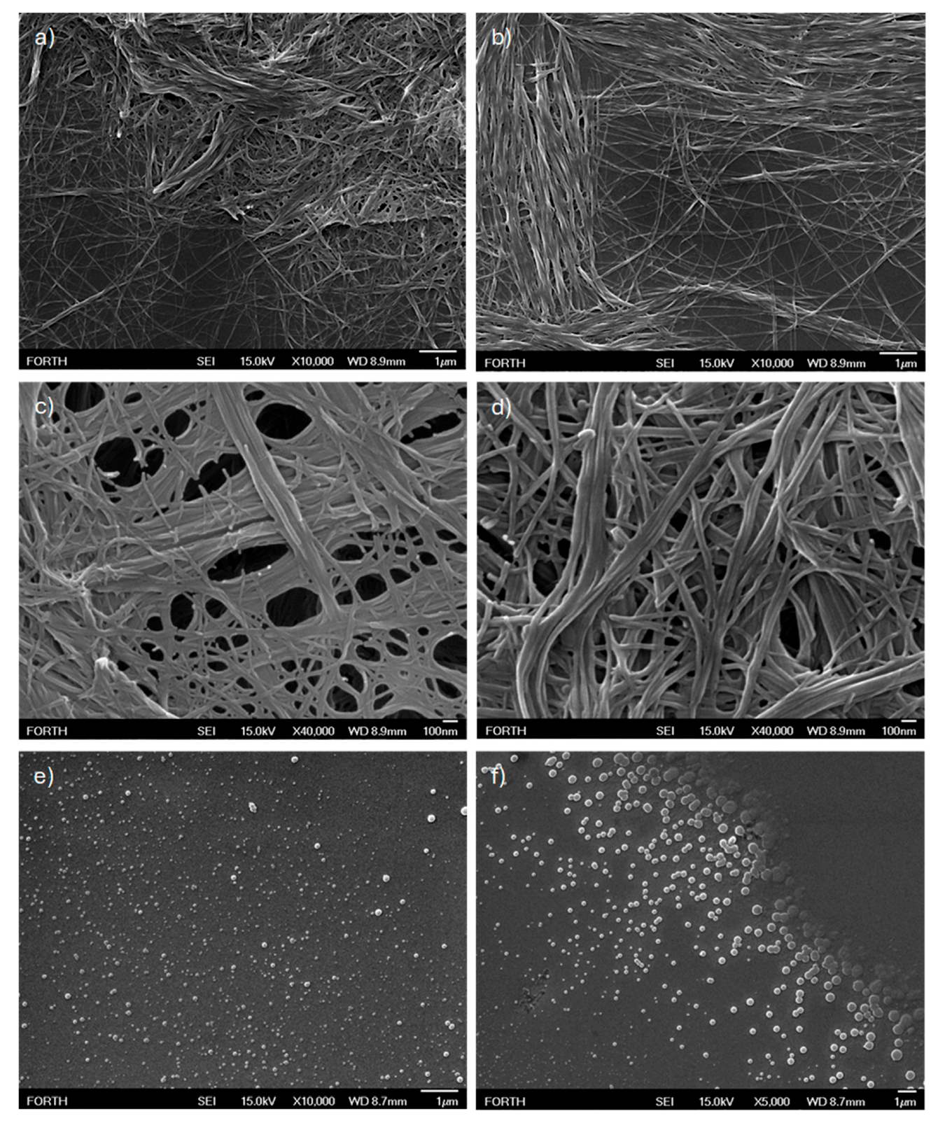 Biomolecules 15 00839 g008
