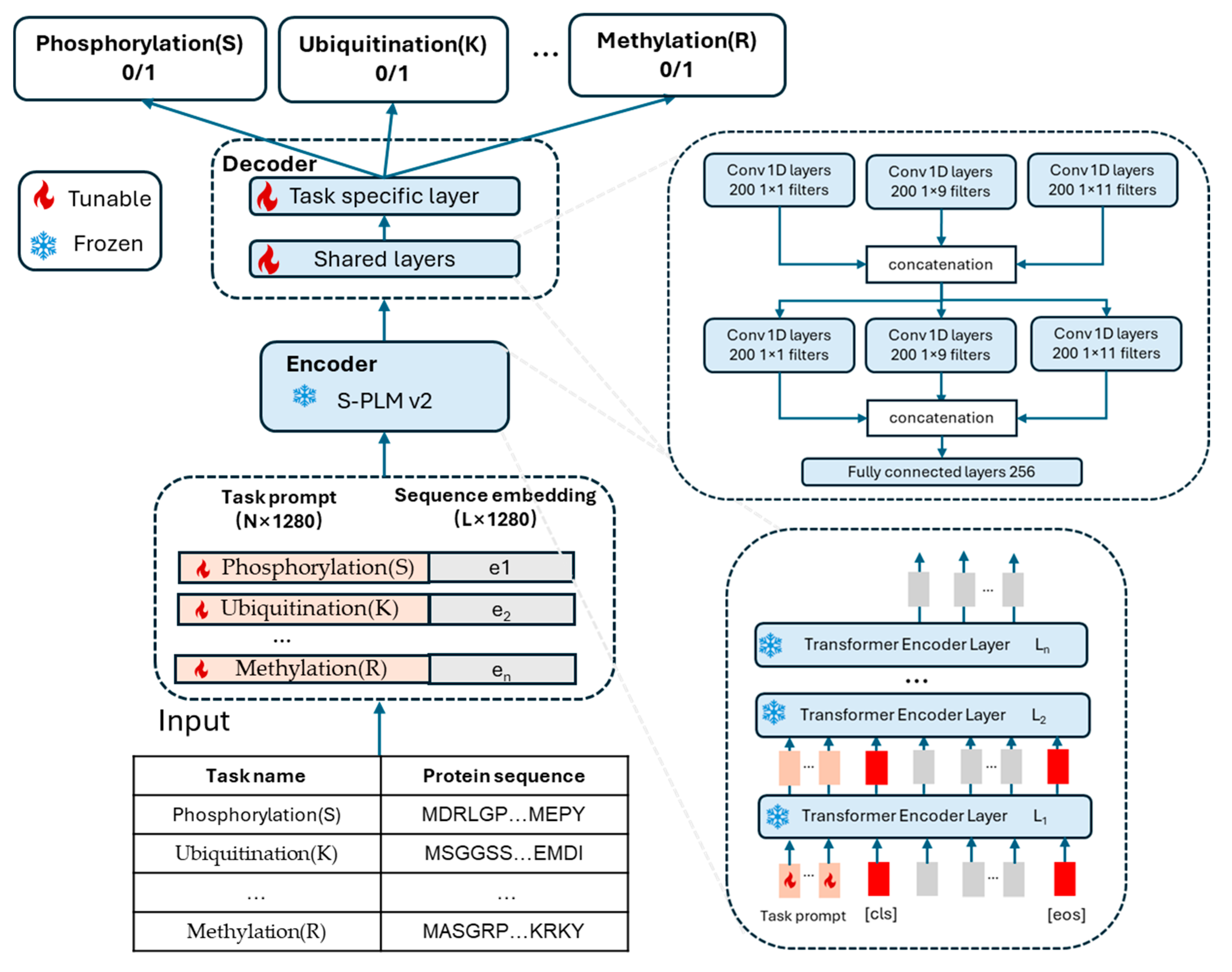 Biomolecules 15 00843 g002