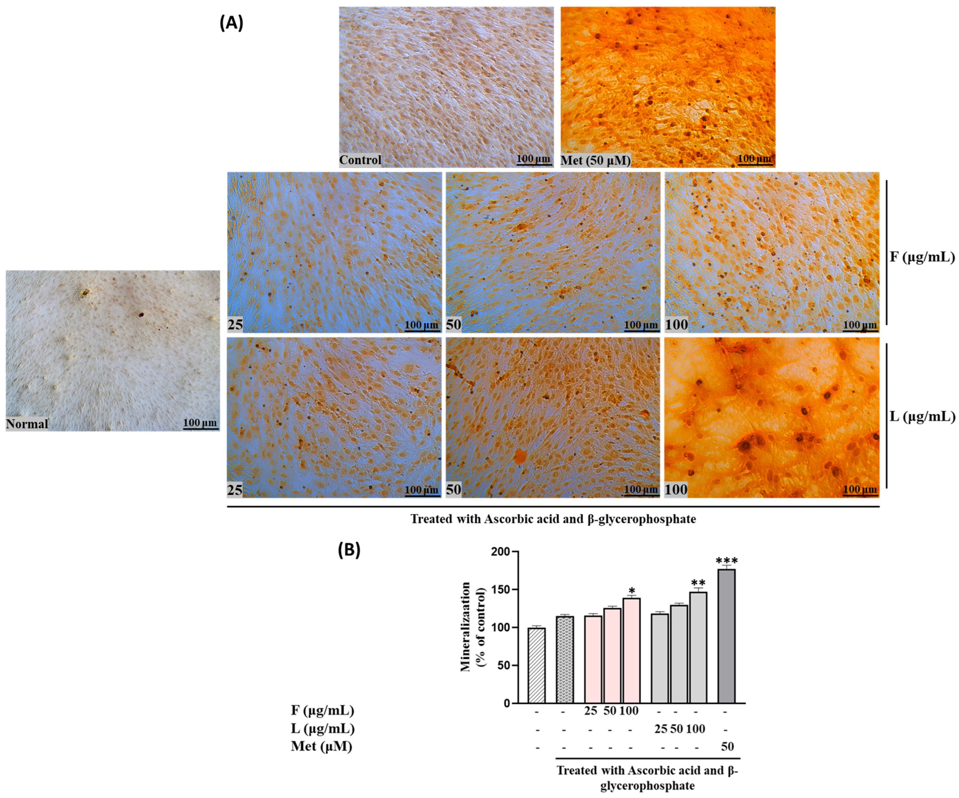 Biomolecules 15 00844 g002