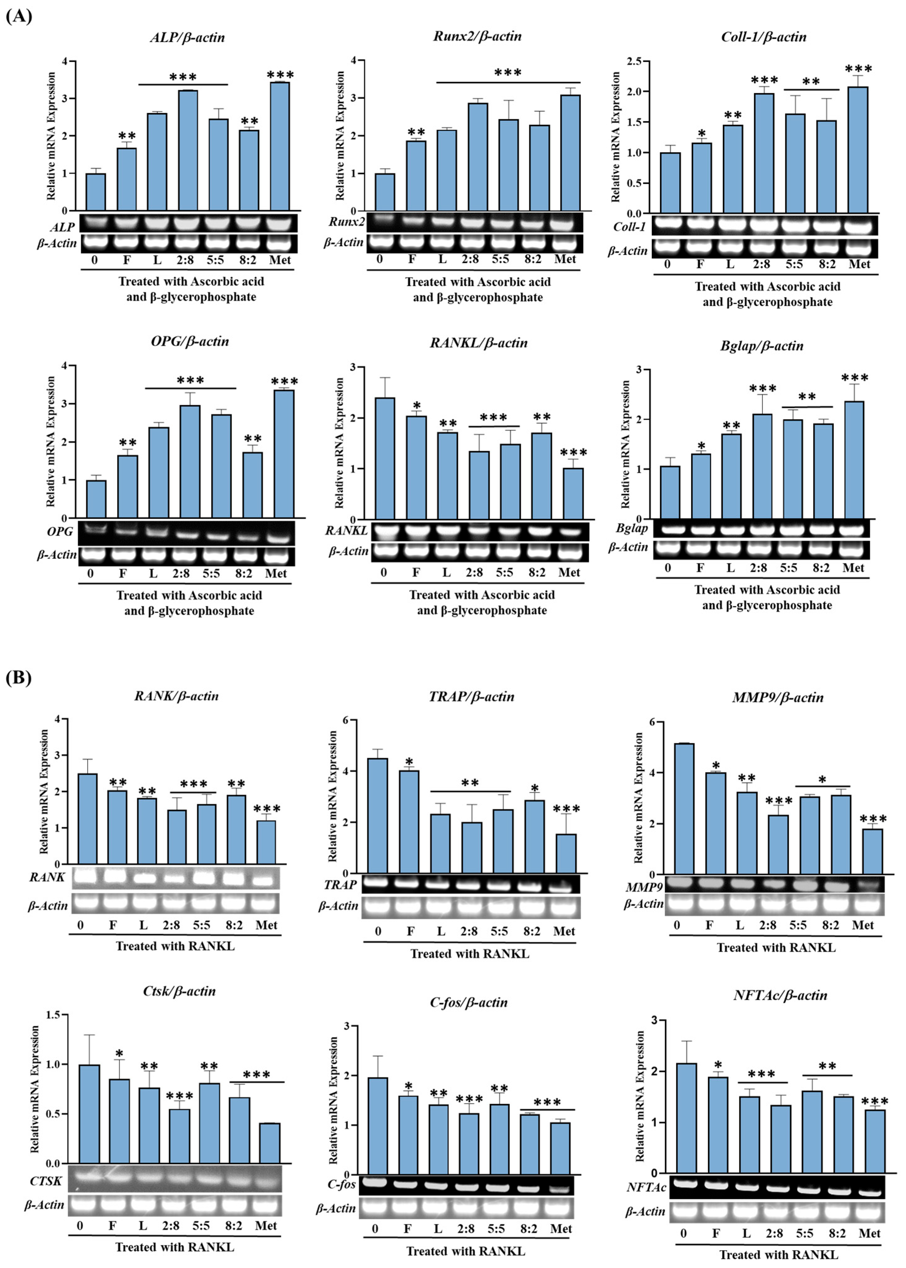 Biomolecules 15 00844 g008