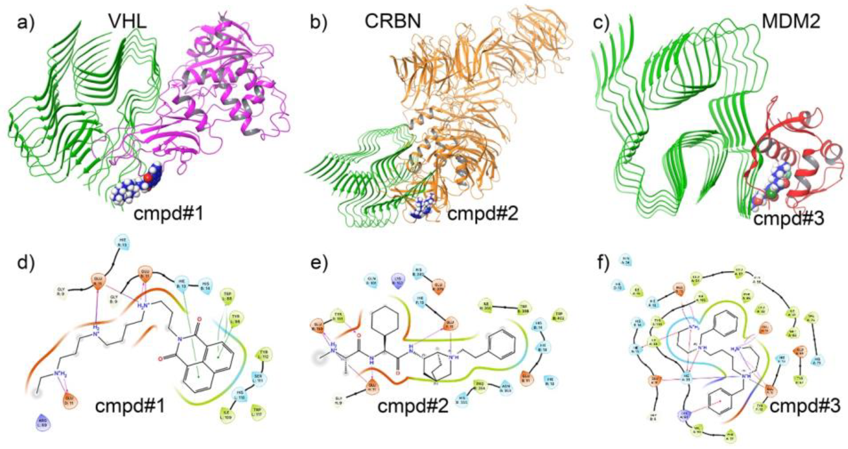Biomolecules 15 00849 g004 Biomolecules 15 00849 g004