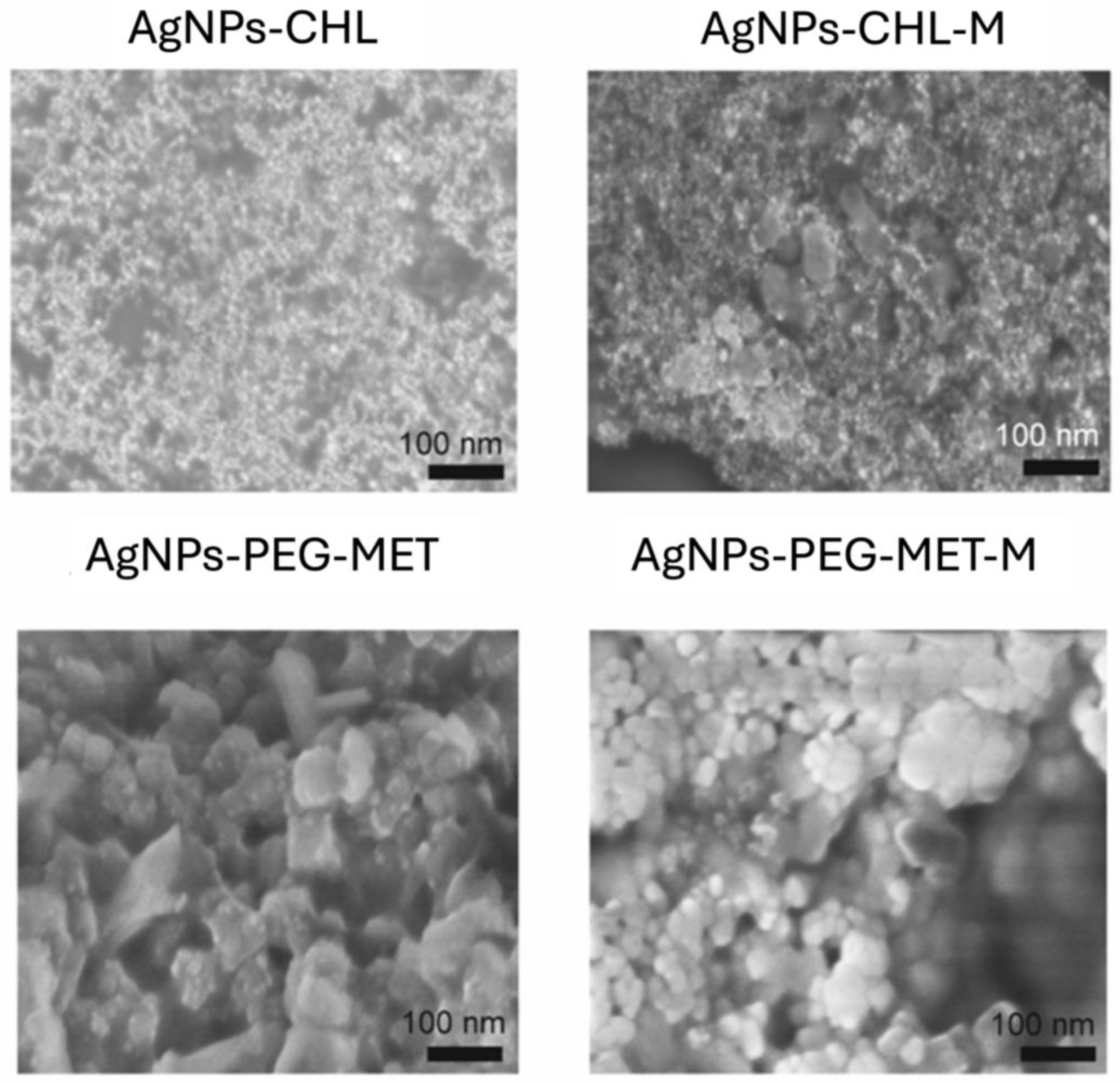 Biomolecules 15 00850 g003